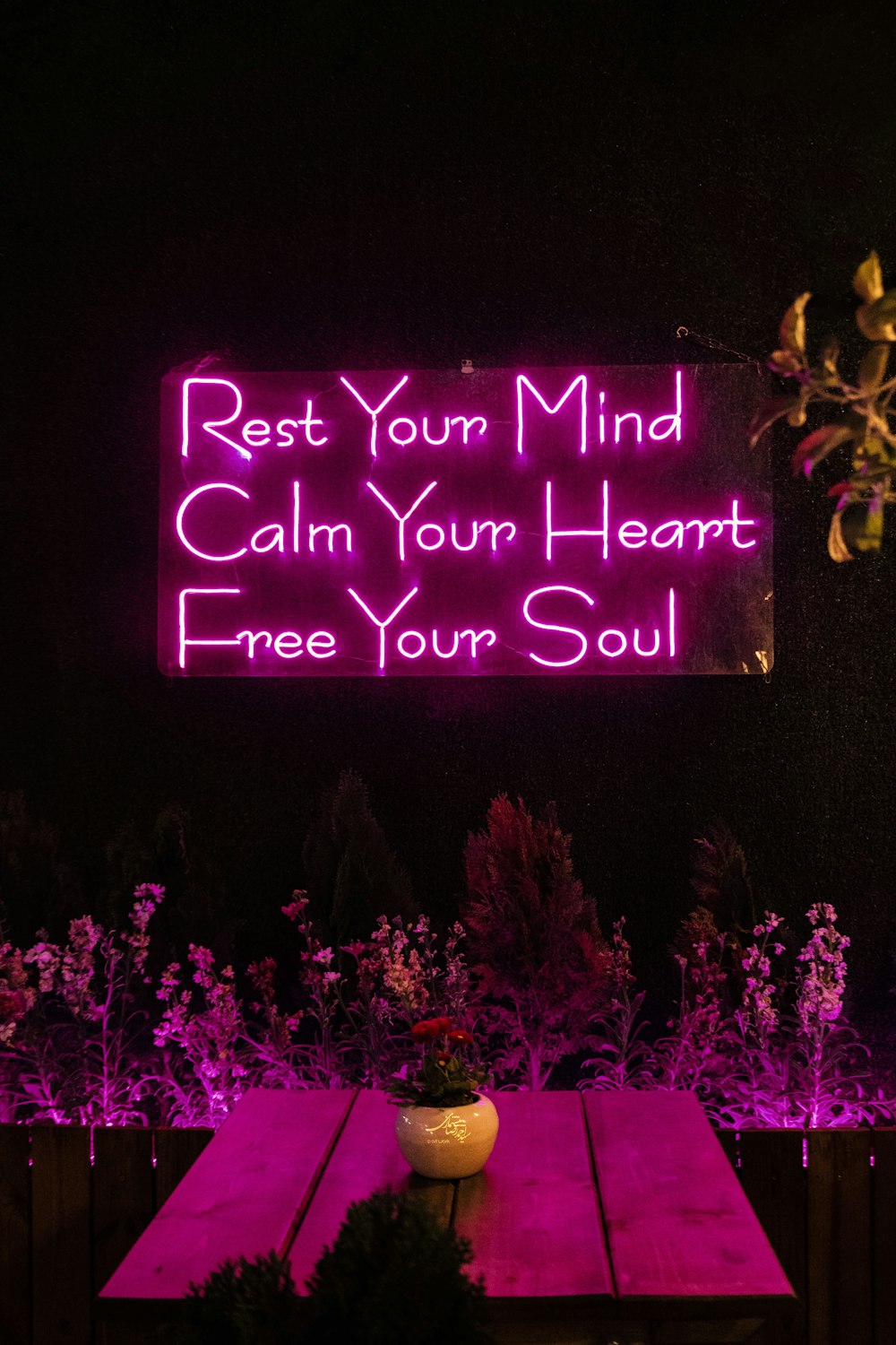 a pink neon sign that says rest your mind calm your heart free your soul