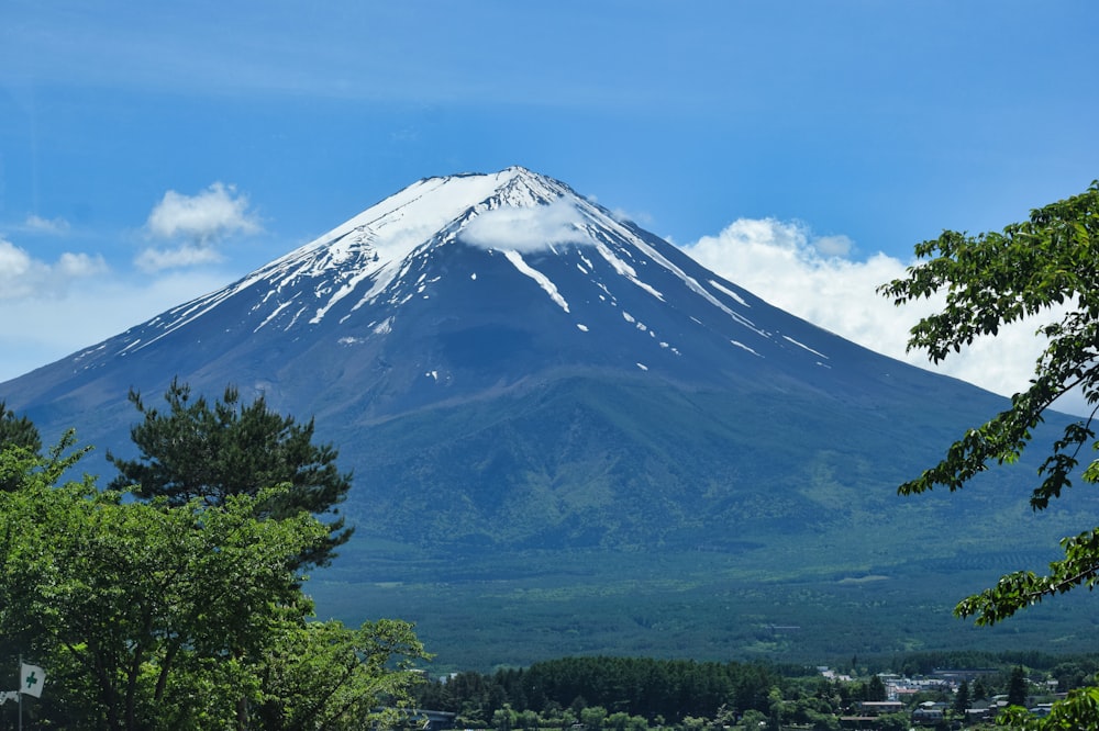 a snow covered mountain with trees in the foreground