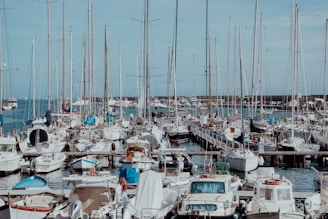 A busy marina filled with numerous sailboats and yachts tied alongside wooden docks. Masts rise high into the clear blue sky, creating a forest of poles above the boats. The harbor is bustling with activity, and the water is calm, reflecting some of the boats and the sky.