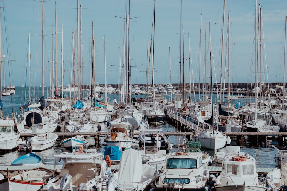 un sacco di barche che sono in acqua