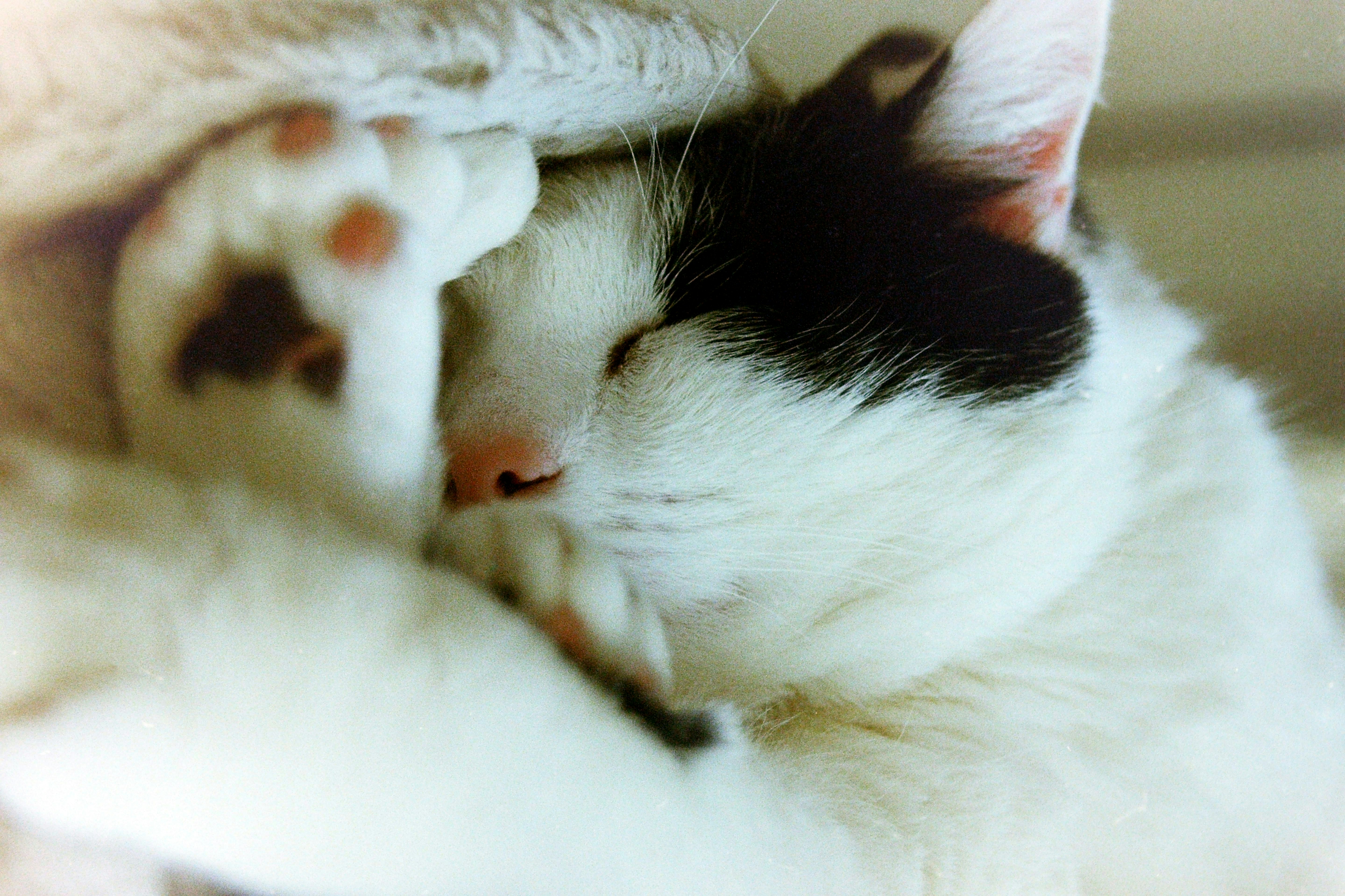 Photo by artistseyes