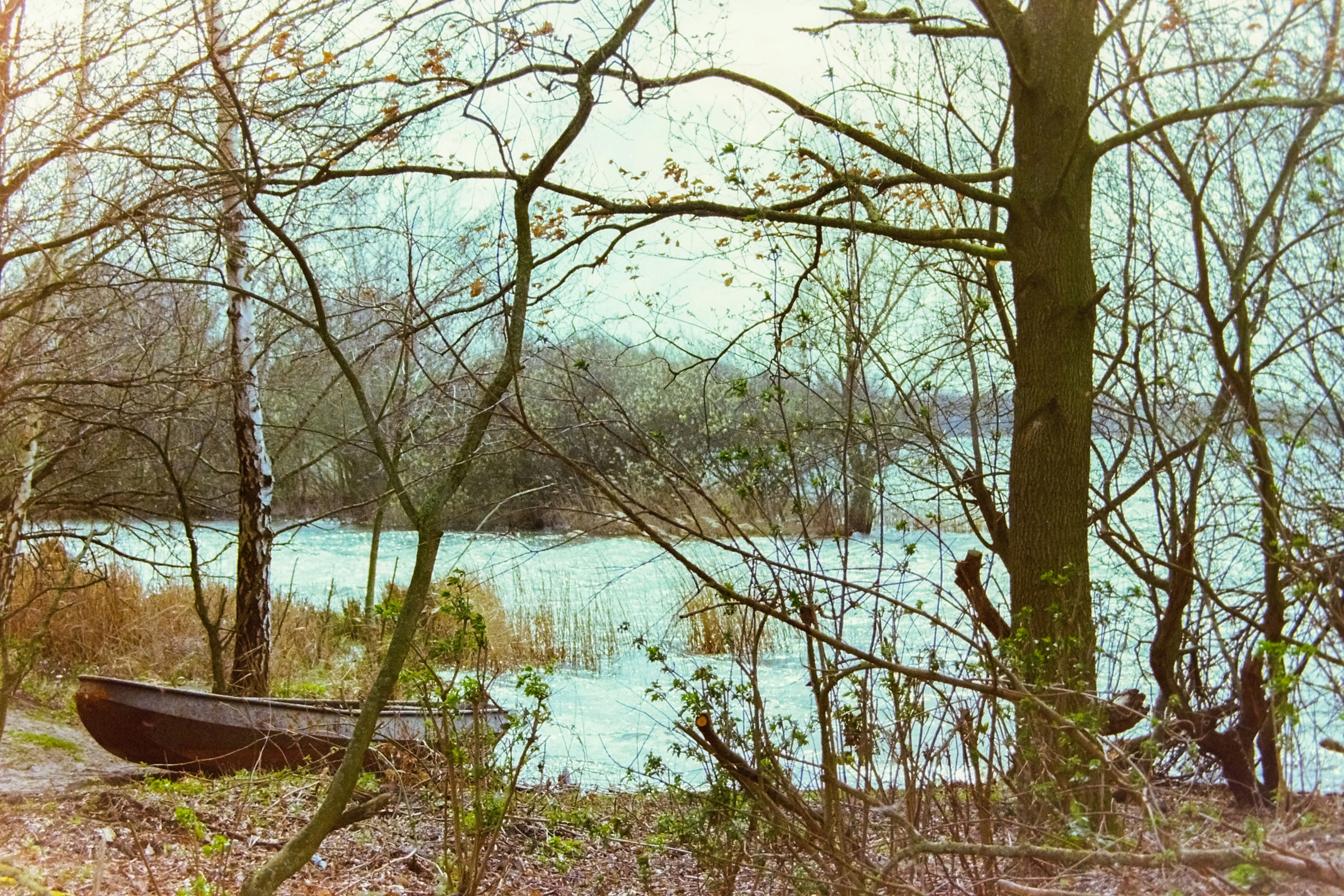 Photo by artistseyes