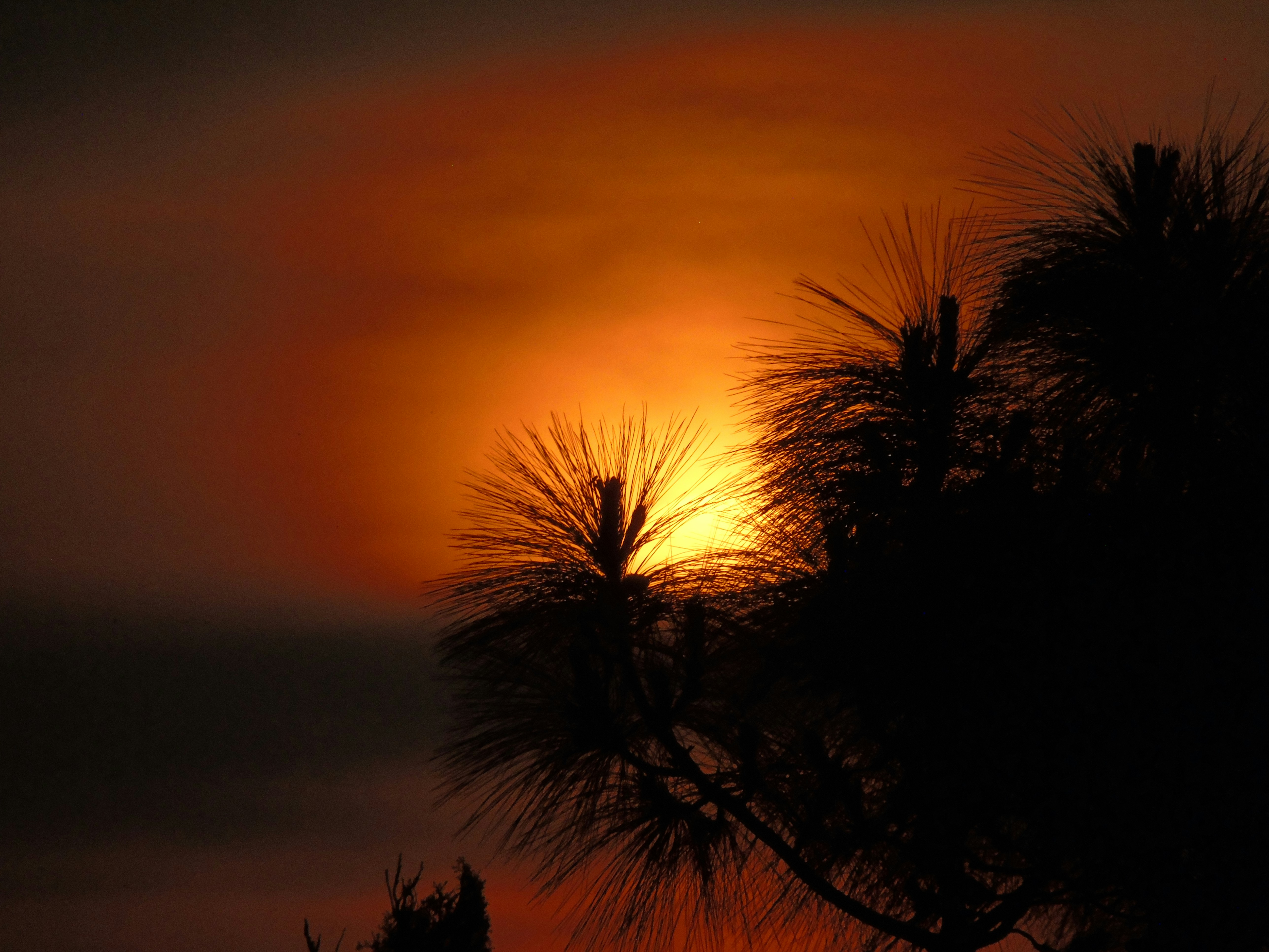 the sun is setting behind some trees