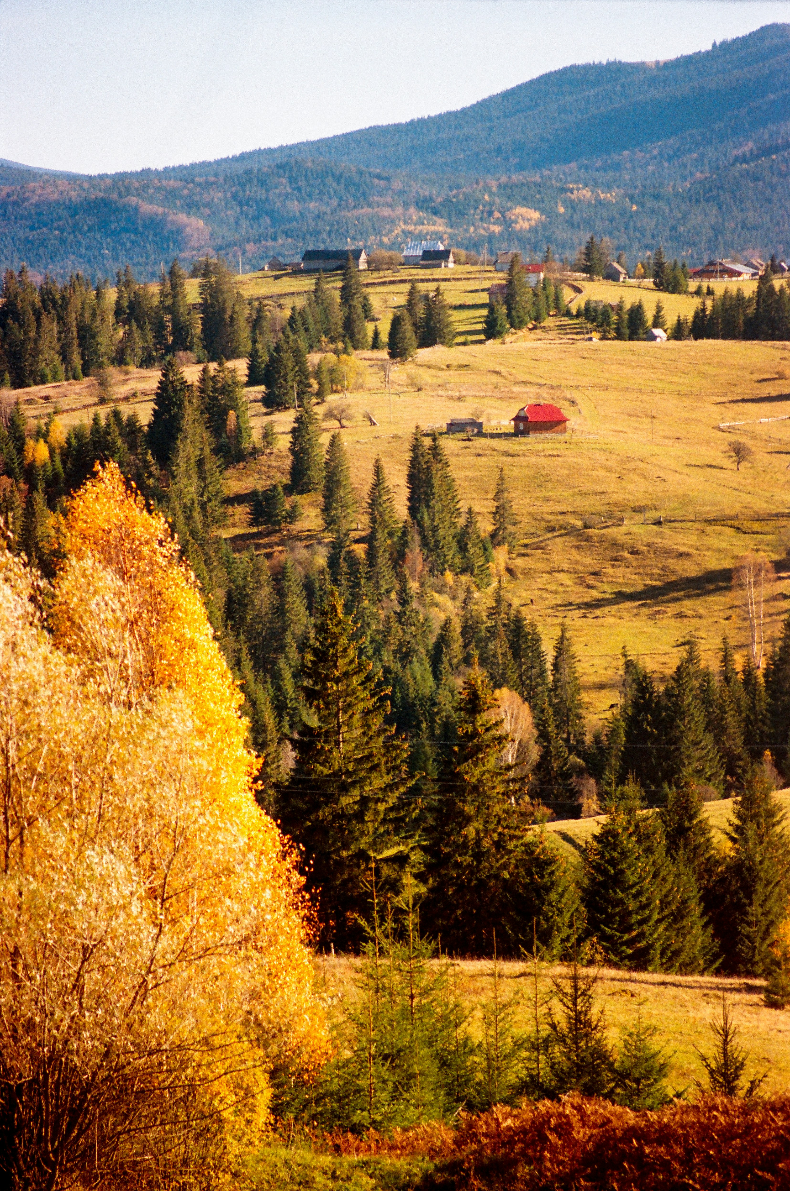 Photo by margarita_ua