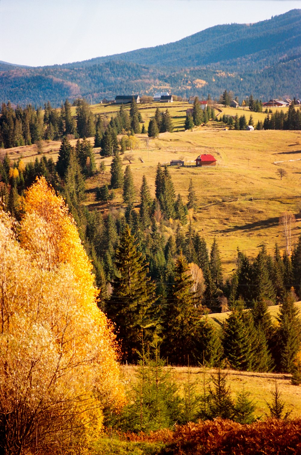 a scenic view of a field with a red house in the distance