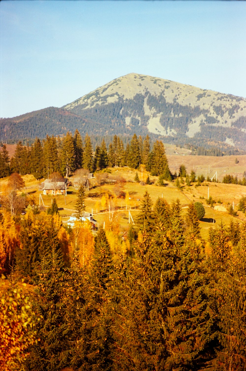 a view of a mountain with trees in the foreground