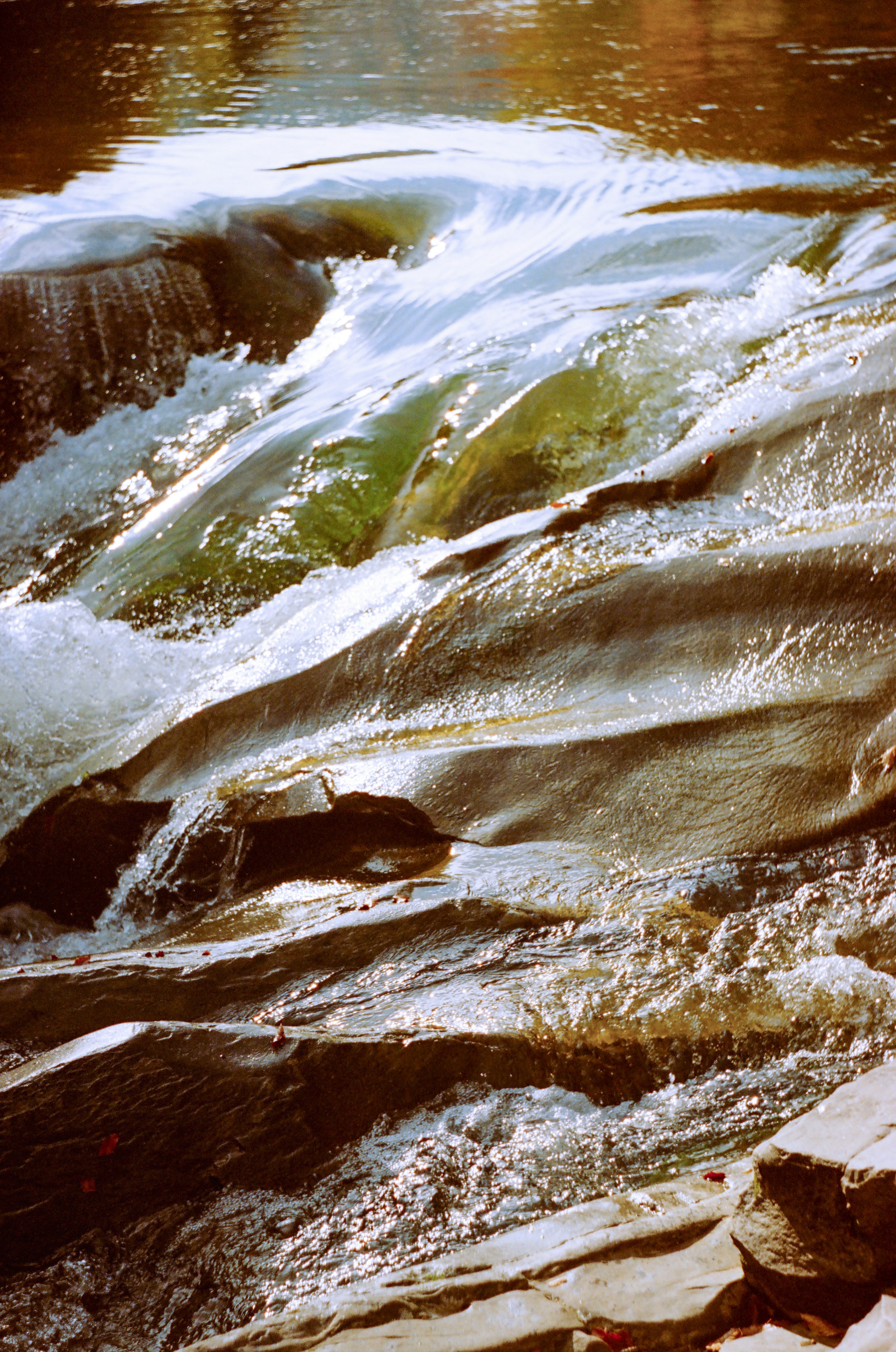 Photo by margarita_ua