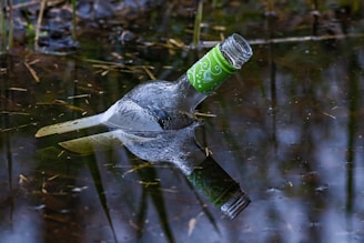 A glass bottle with a green label floats at an angle in a body of water, reflecting its image on the surface. The surrounding environment includes grass and reeds partially submerged, indicating a natural water setting.