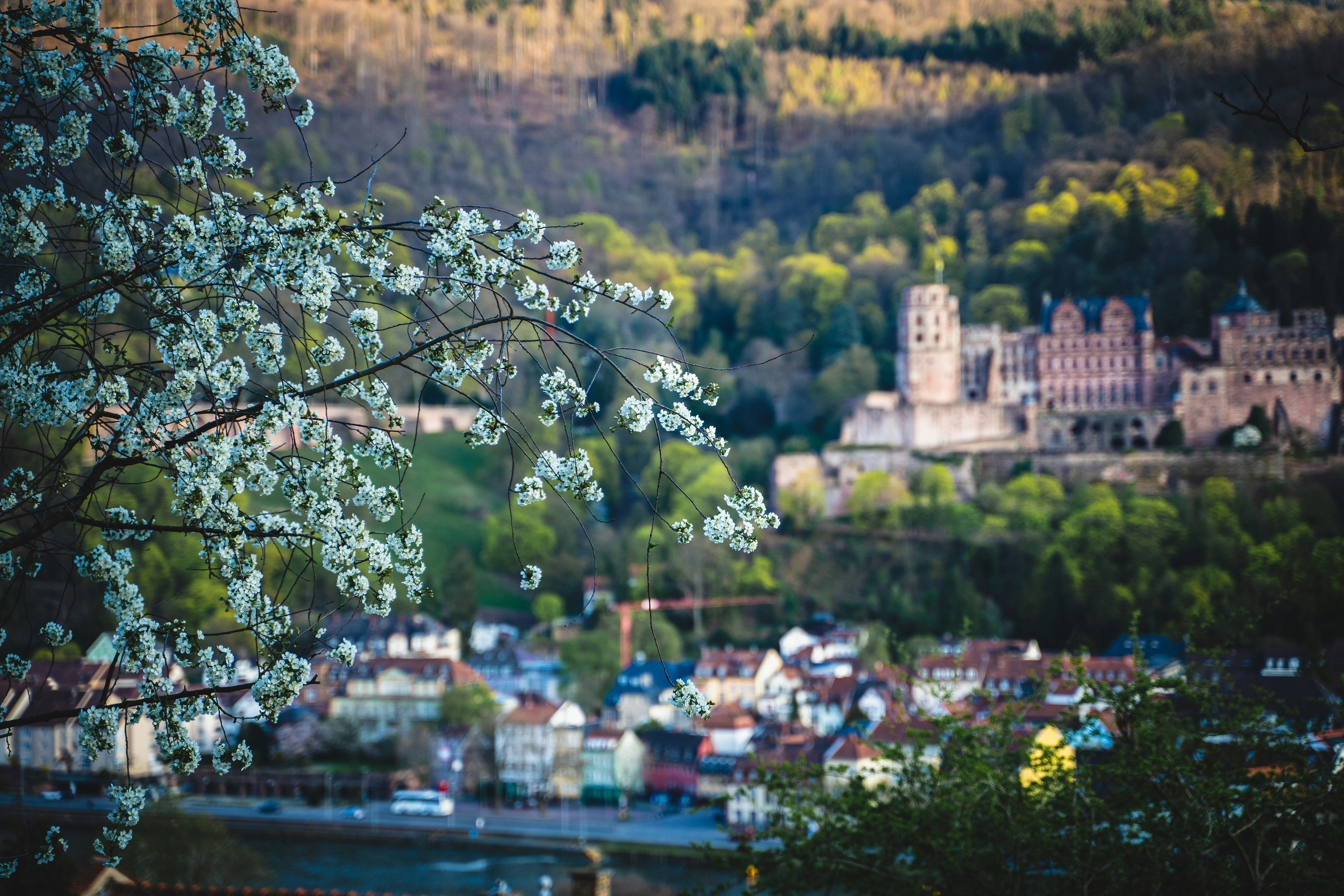 Photo by kishorevaddadi