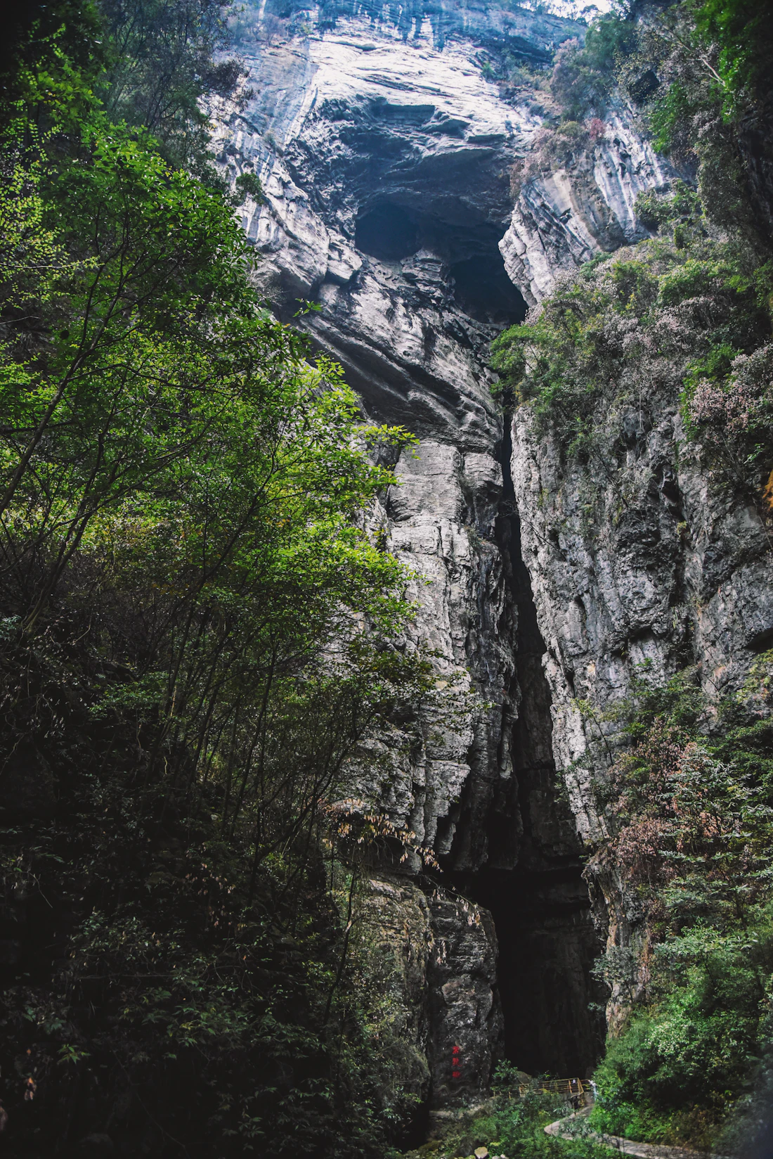 Towering karst cliffs and greenery at Wulong Karst National Geology Park