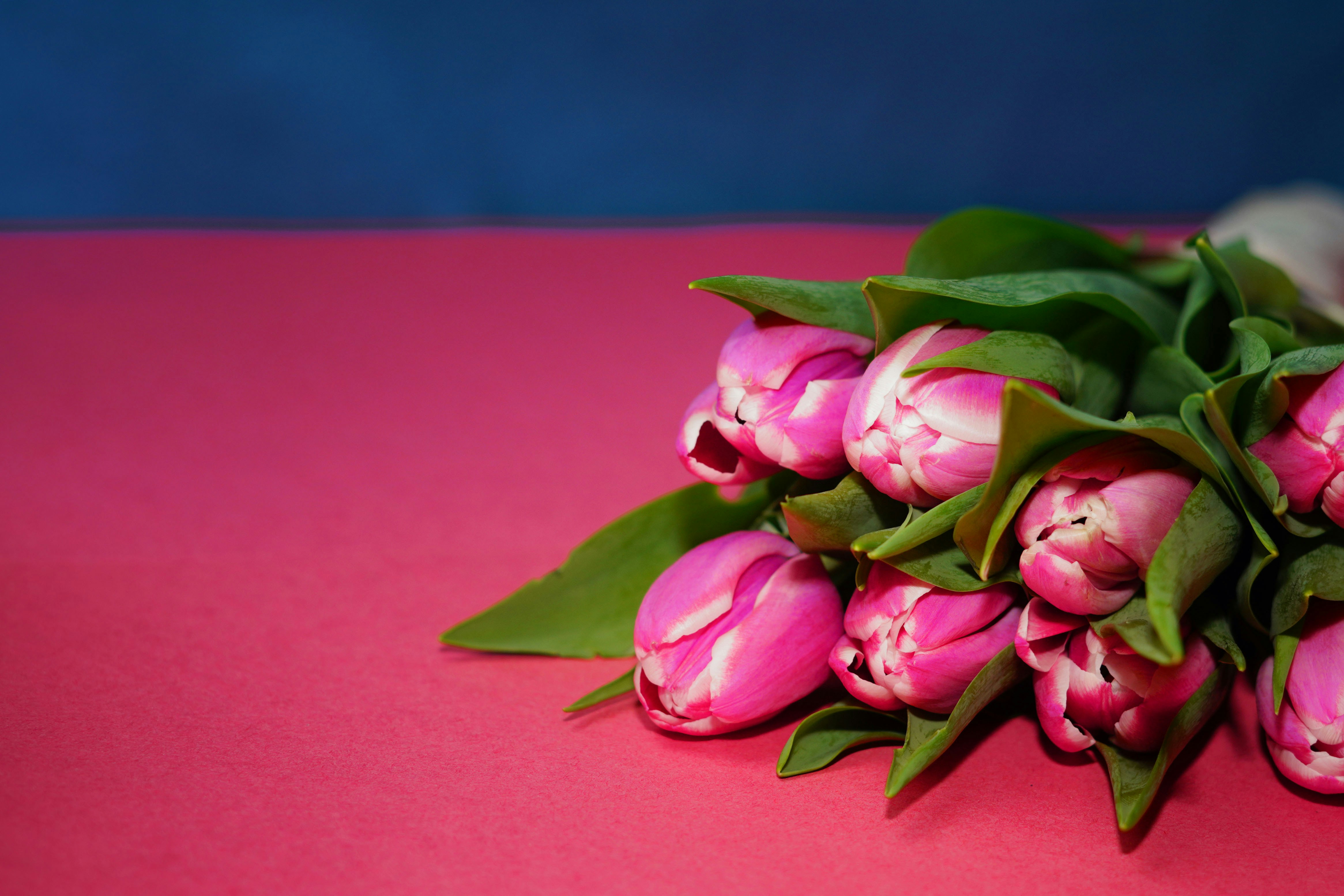 Photo by babs_gorniak