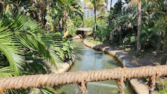 A scenic view of a lush jungle with a flowing river and a modern entertainment complex in the background.
