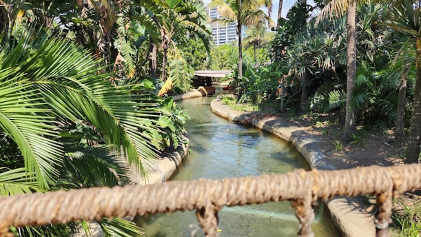 A scenic view of a lush jungle with a flowing river and a modern entertainment complex in the background.