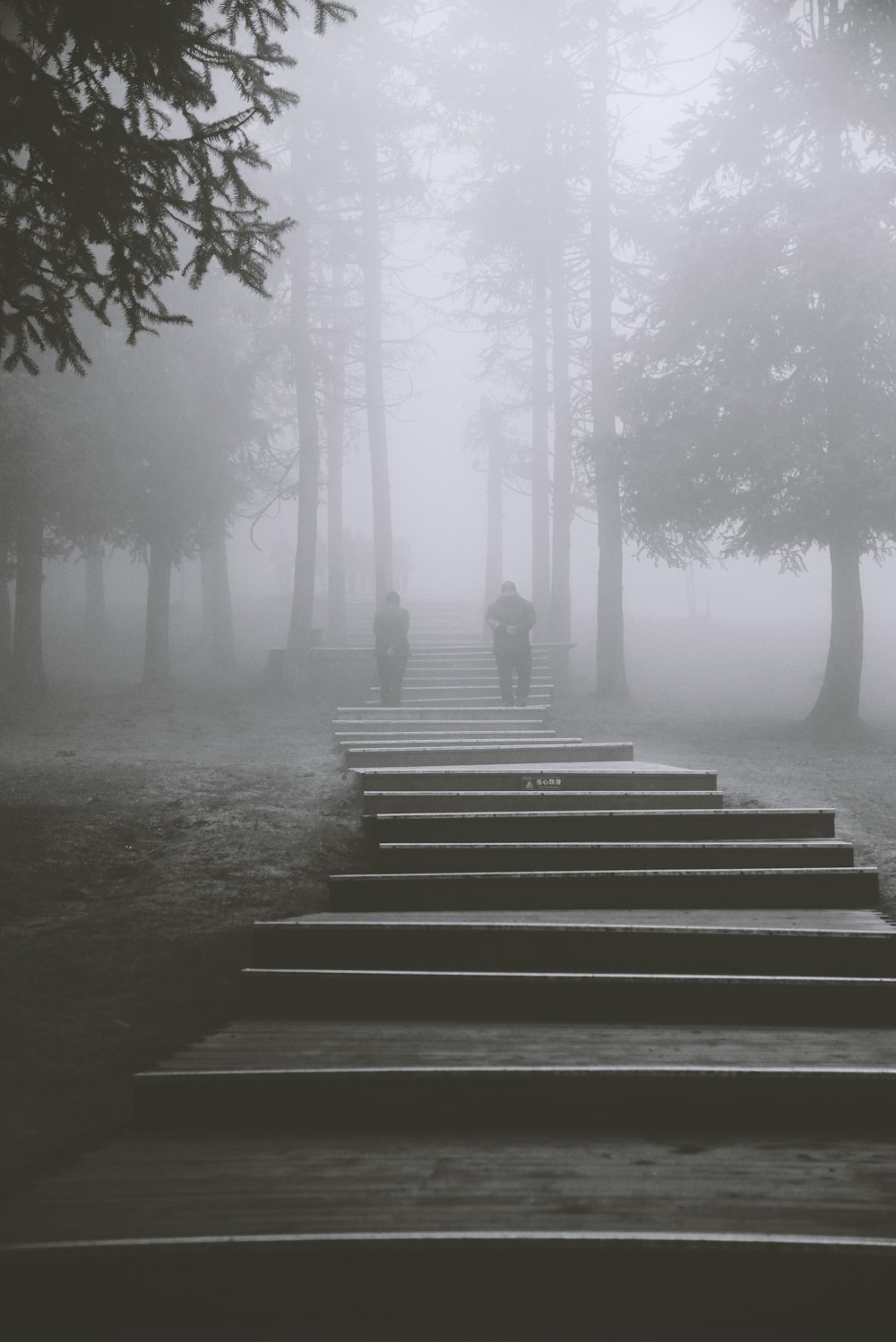 a person walking up some steps in the fog