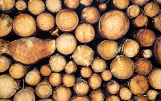 a pile of cut up wood sitting next to each other