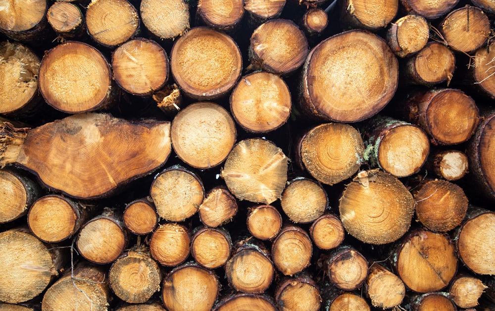 a pile of cut up wood sitting next to each other