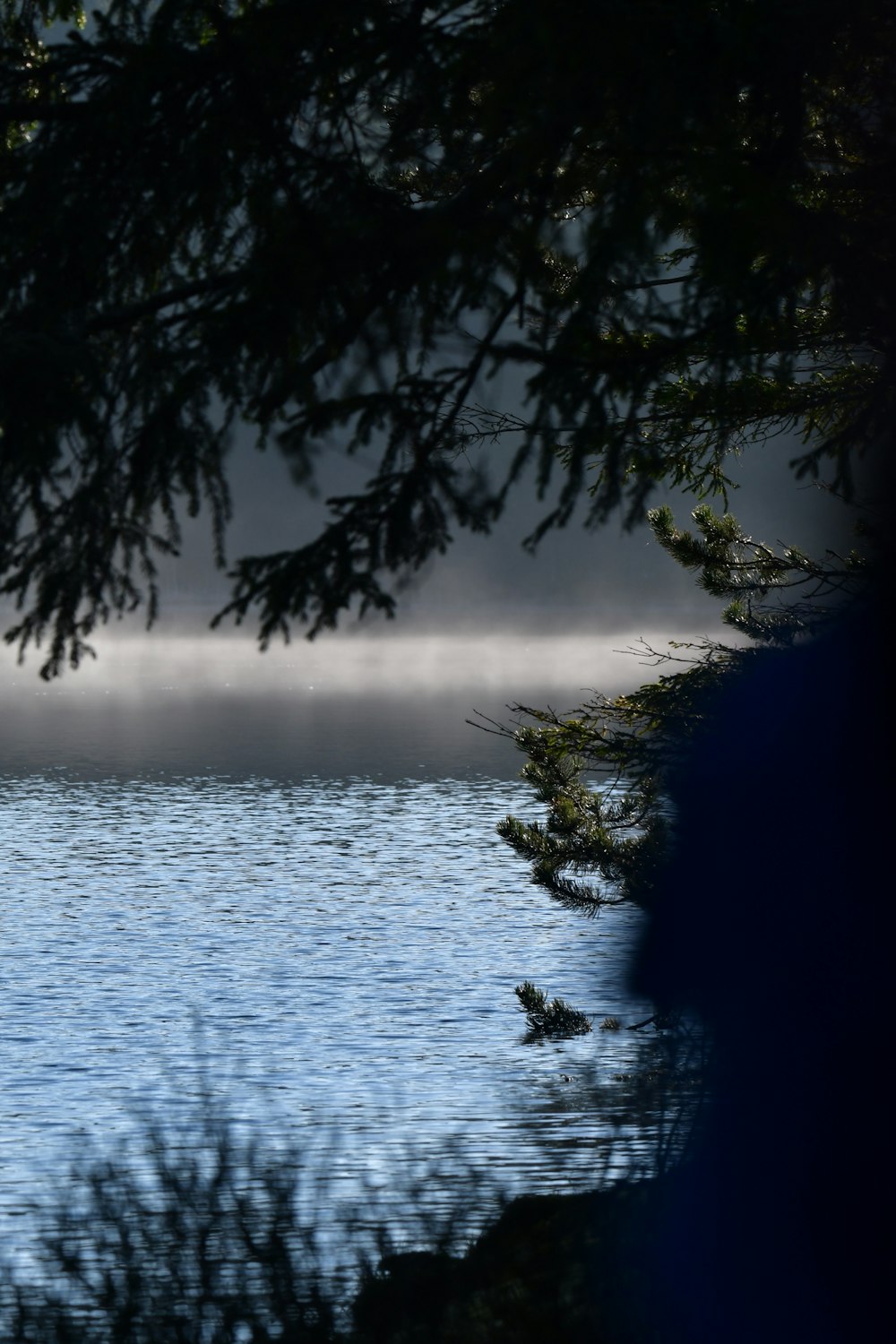 a large body of water surrounded by trees