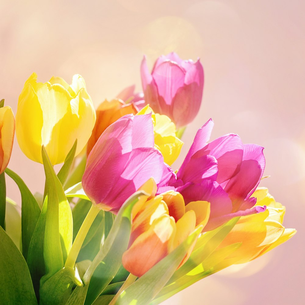 a vase filled with lots of colorful flowers