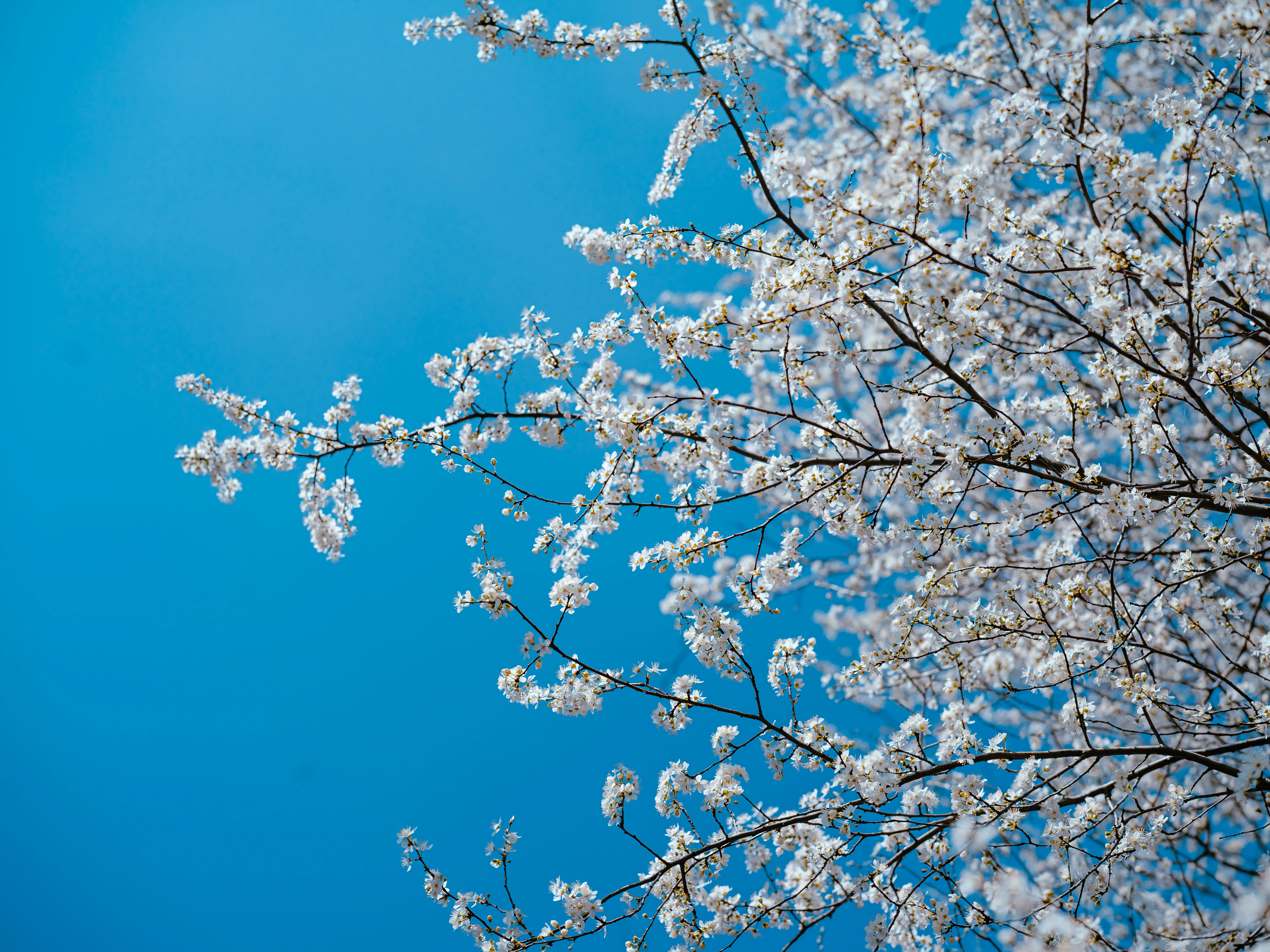 Photo by egorkomarov