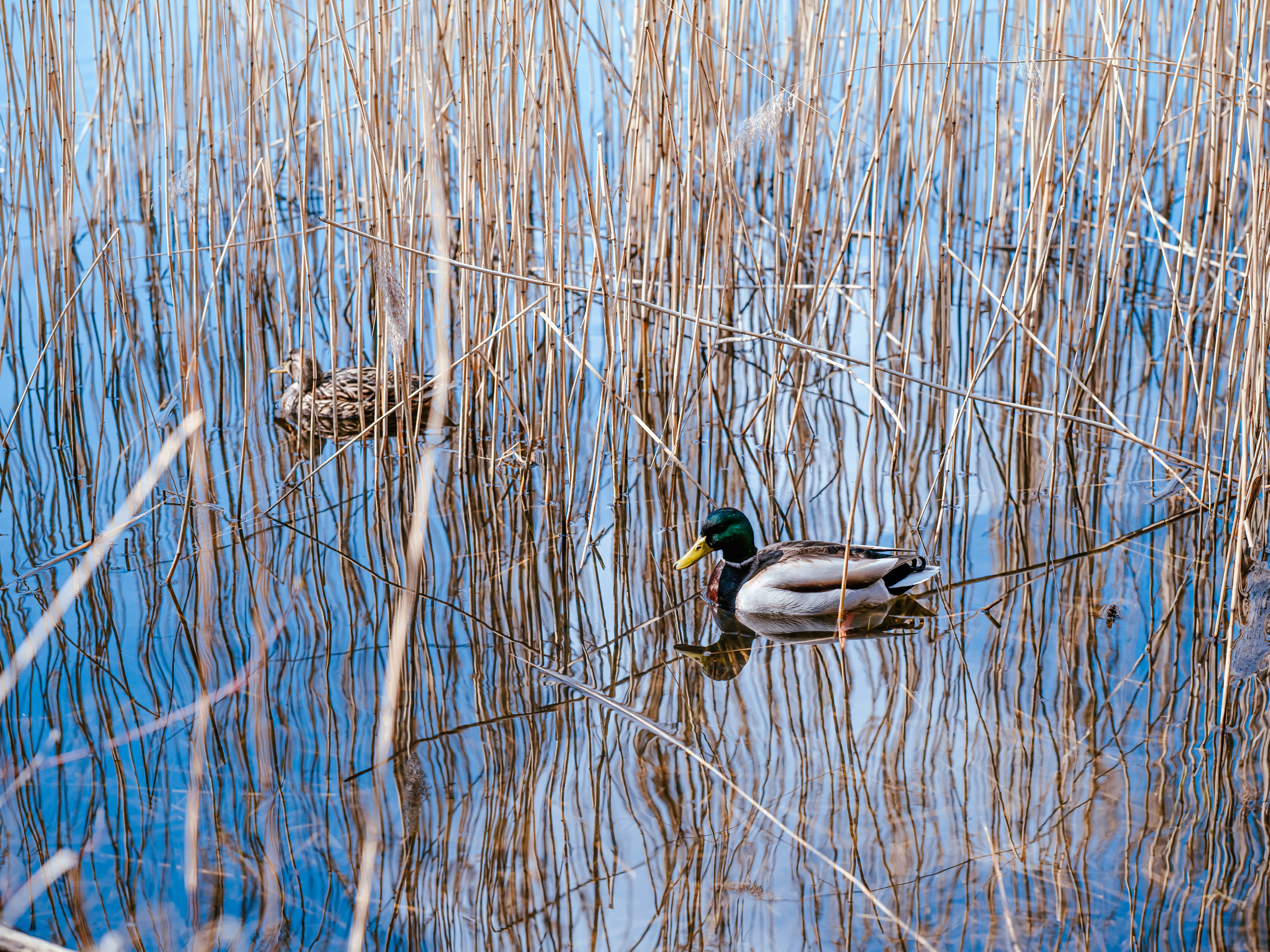 Photo by egorkomarov