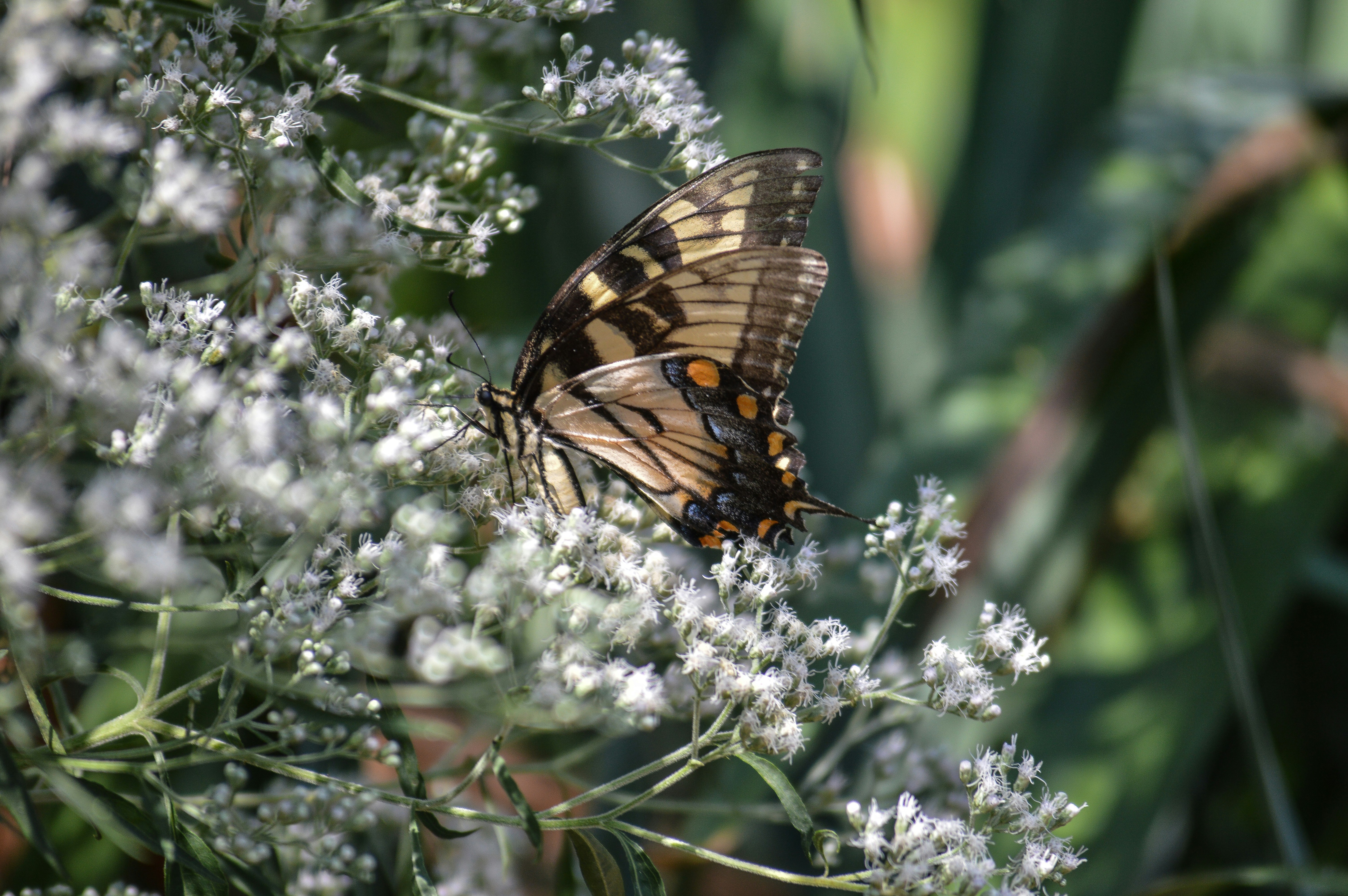 Photo by marywick123