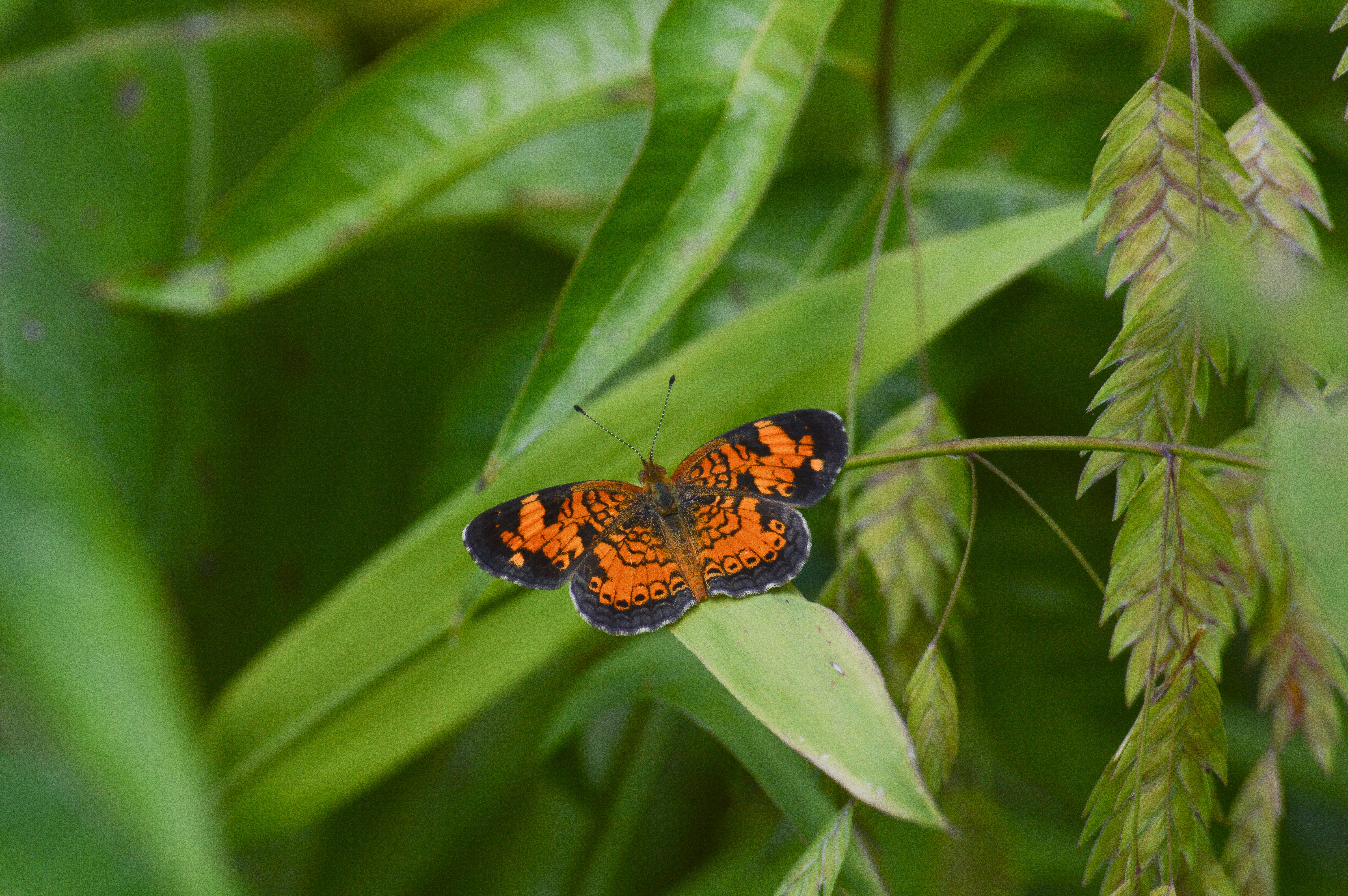 Photo by marywick123