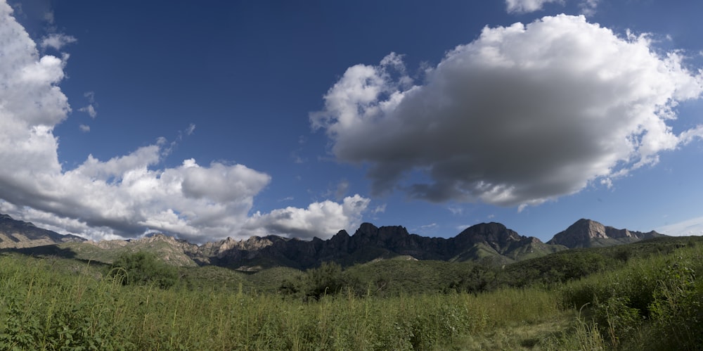 a grassy field with mountains in the background