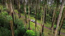 Tempo Traveller Service in chandigarh, luxury tempo traveller in chandigarh, traveller booking in ch