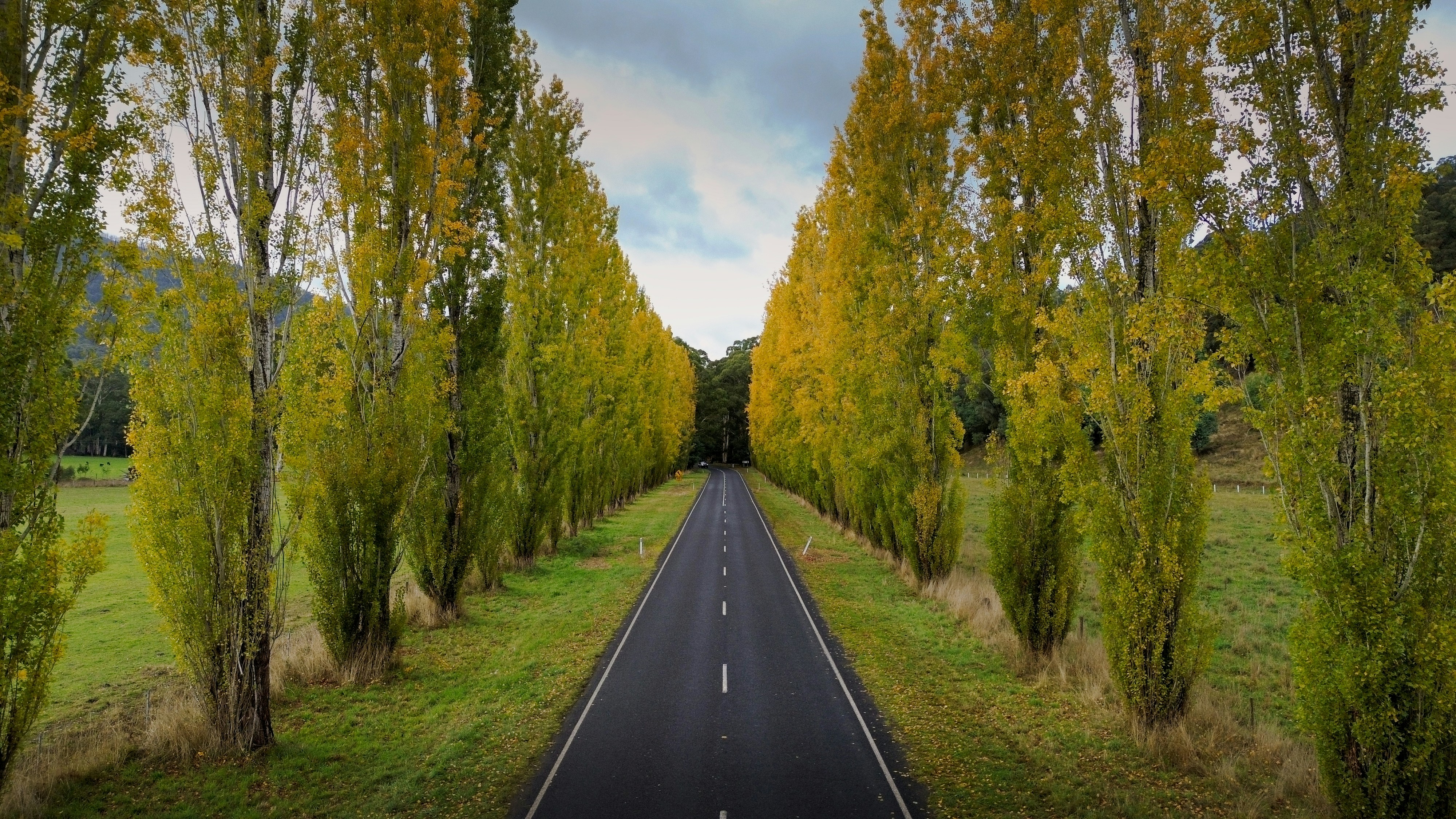 The Most Useful Skills for Business Owners in 2023