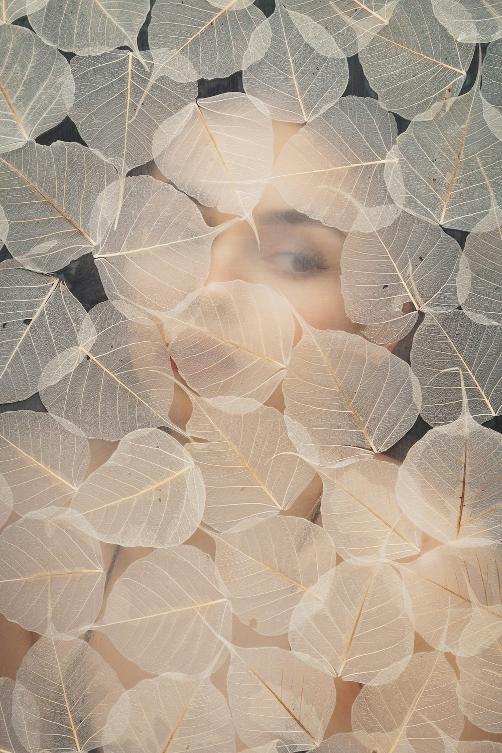 Faccia di una donna circondata da foglie bianche