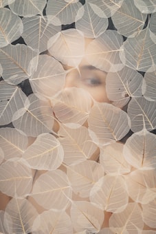 A portrait of a person is overlaid with delicate, translucent leaves, creating a soft and whimsical effect. The leaves are arranged in a dense pattern, with their veins visible, and the person's features are partially obscured by this natural layer.