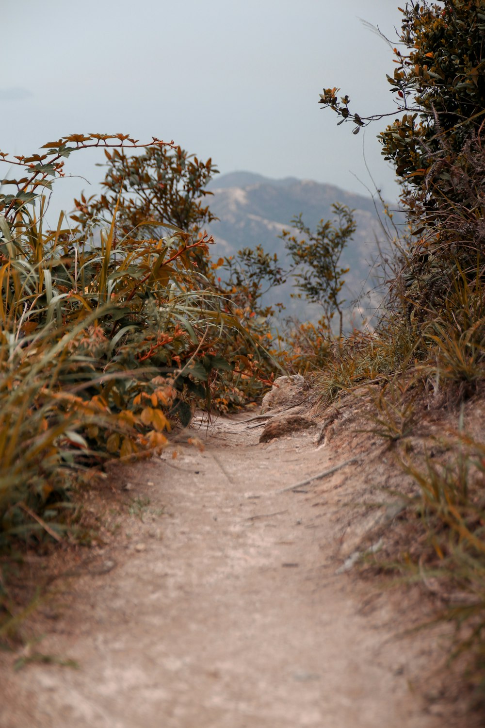 a dirt path leading to the top of a mountain