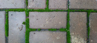 Close-up of clean, moss-free paving stones after professional pressure washing.