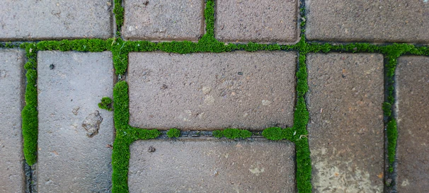 A freshly cleaned patio showcasing vibrant stonework with no dirt or moss.