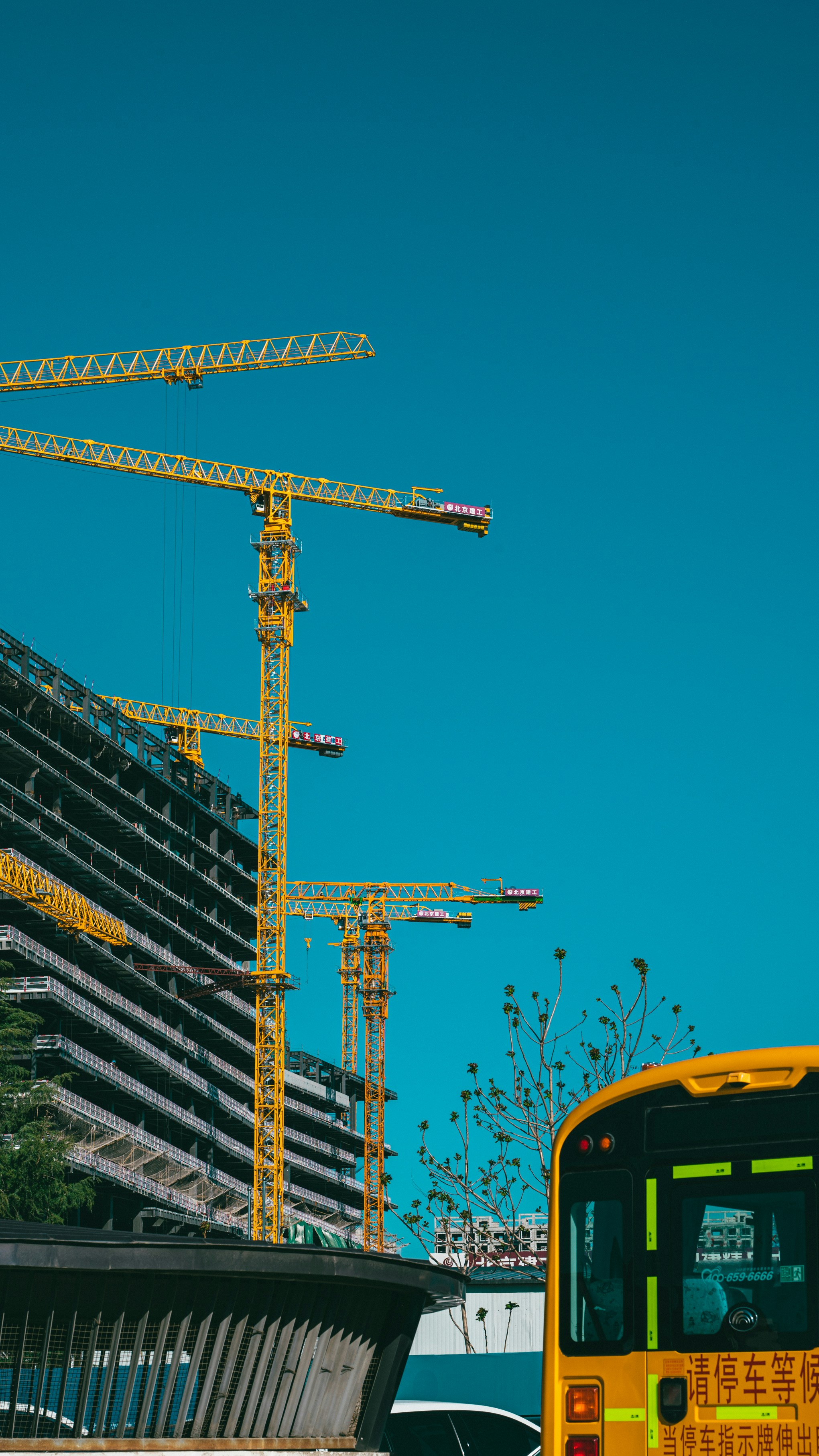 Photo by peek_a_boo_who