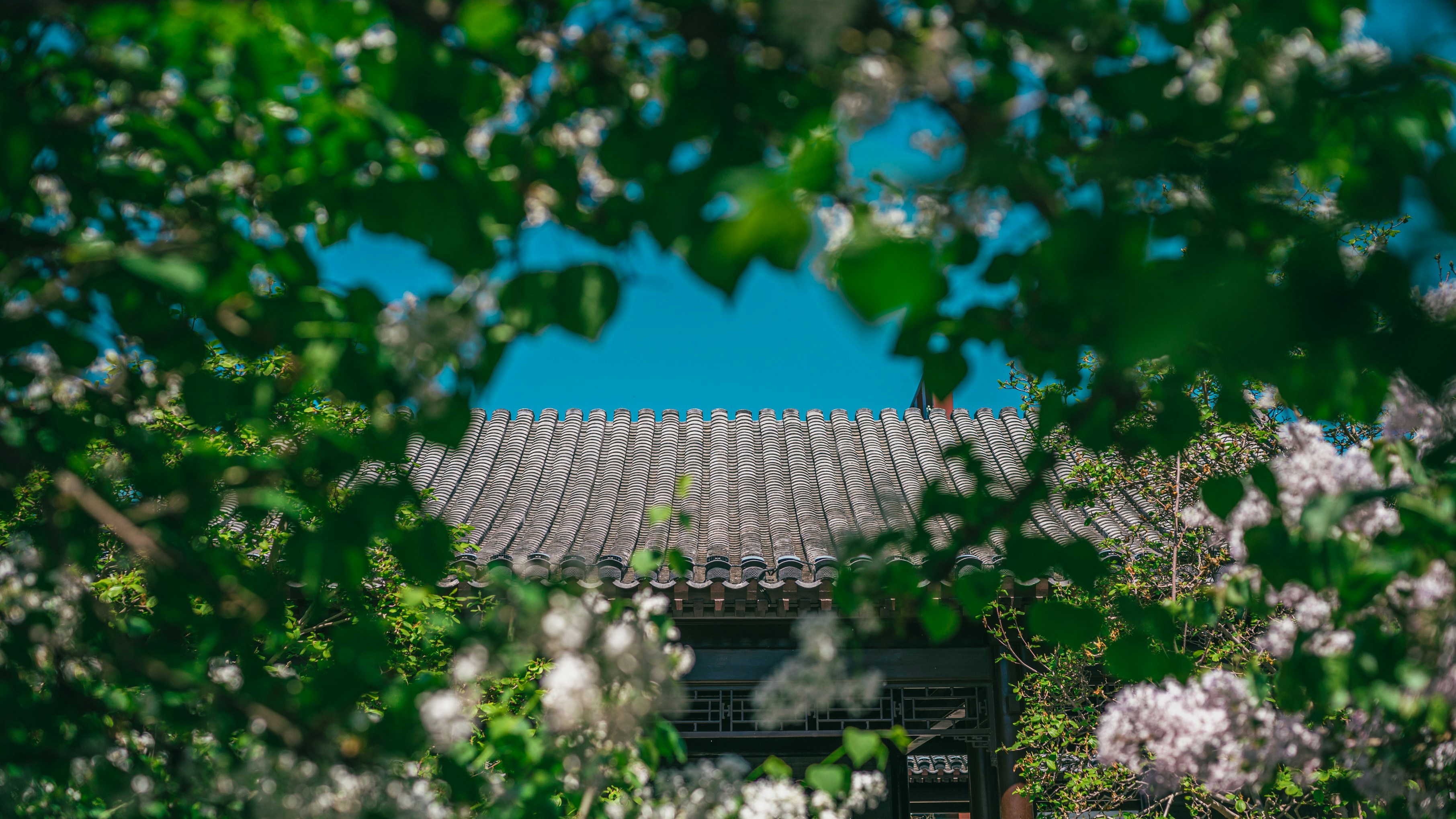 Photo by peek_a_boo_who