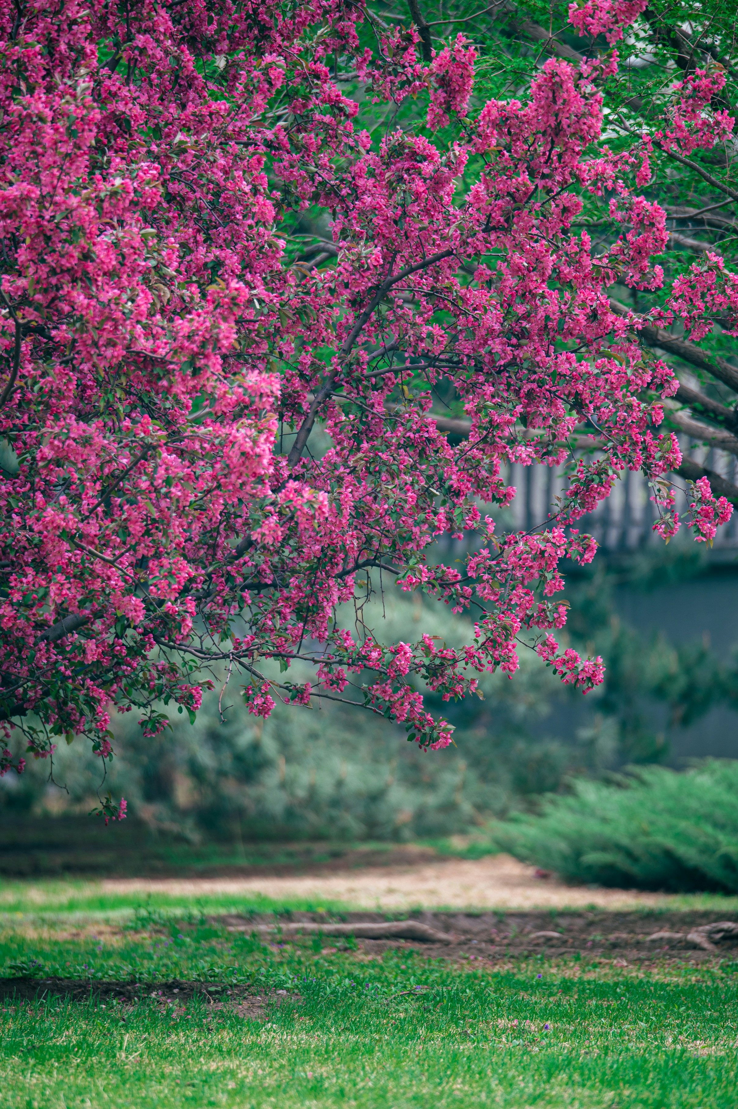 Photo by peek_a_boo_who