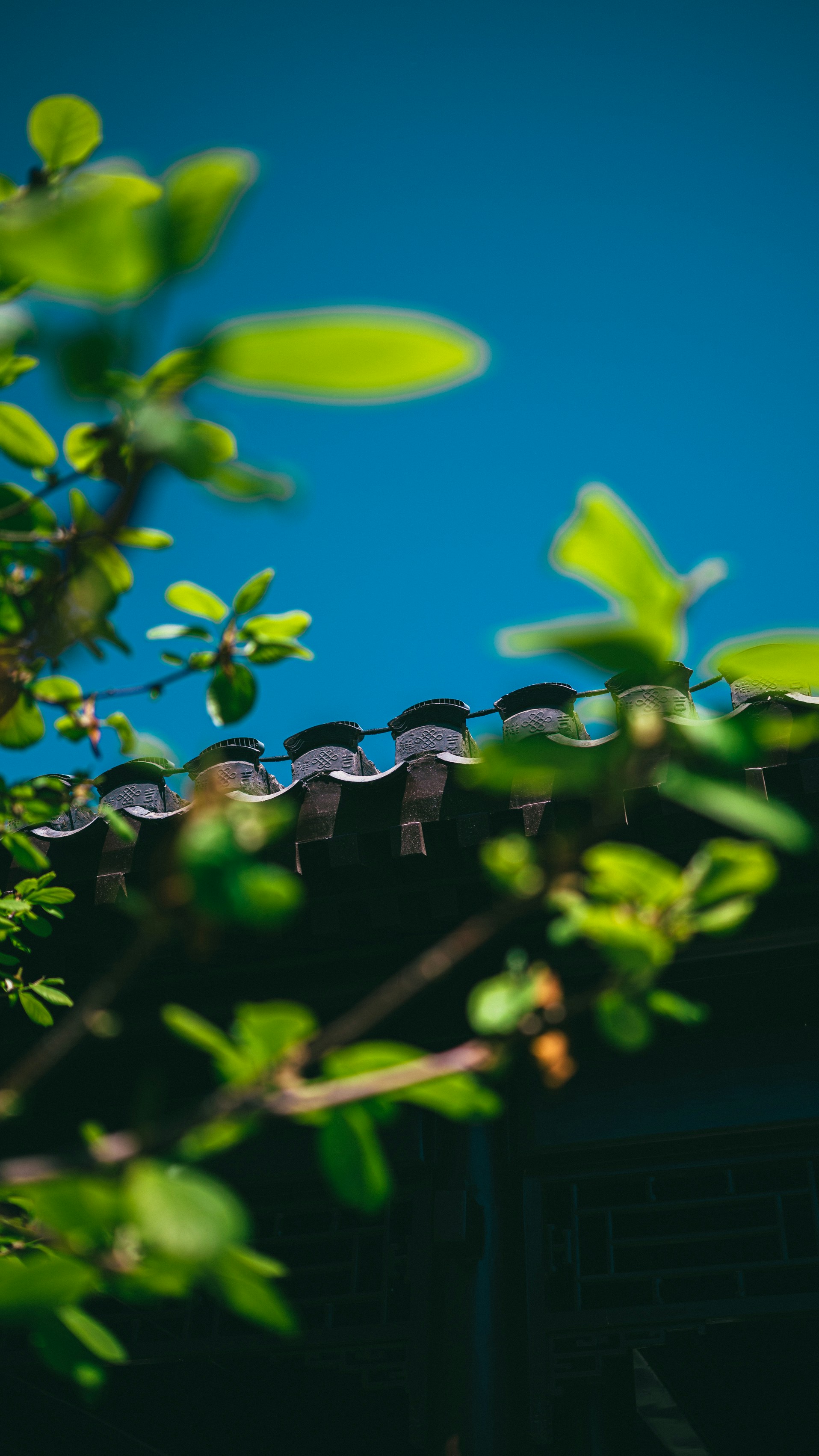 Vibrant Green Roof Tile