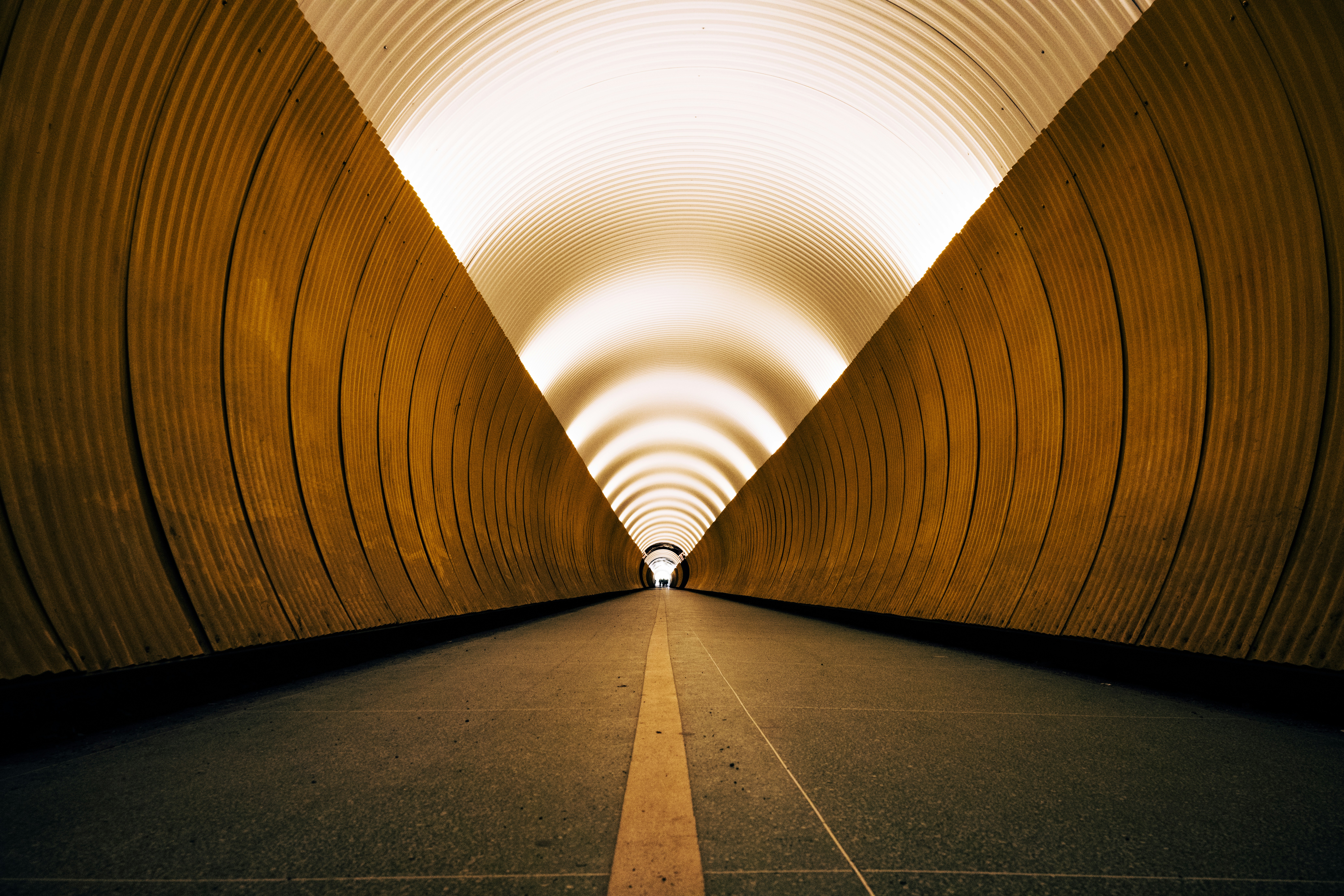 Photo by gabor_koszegi