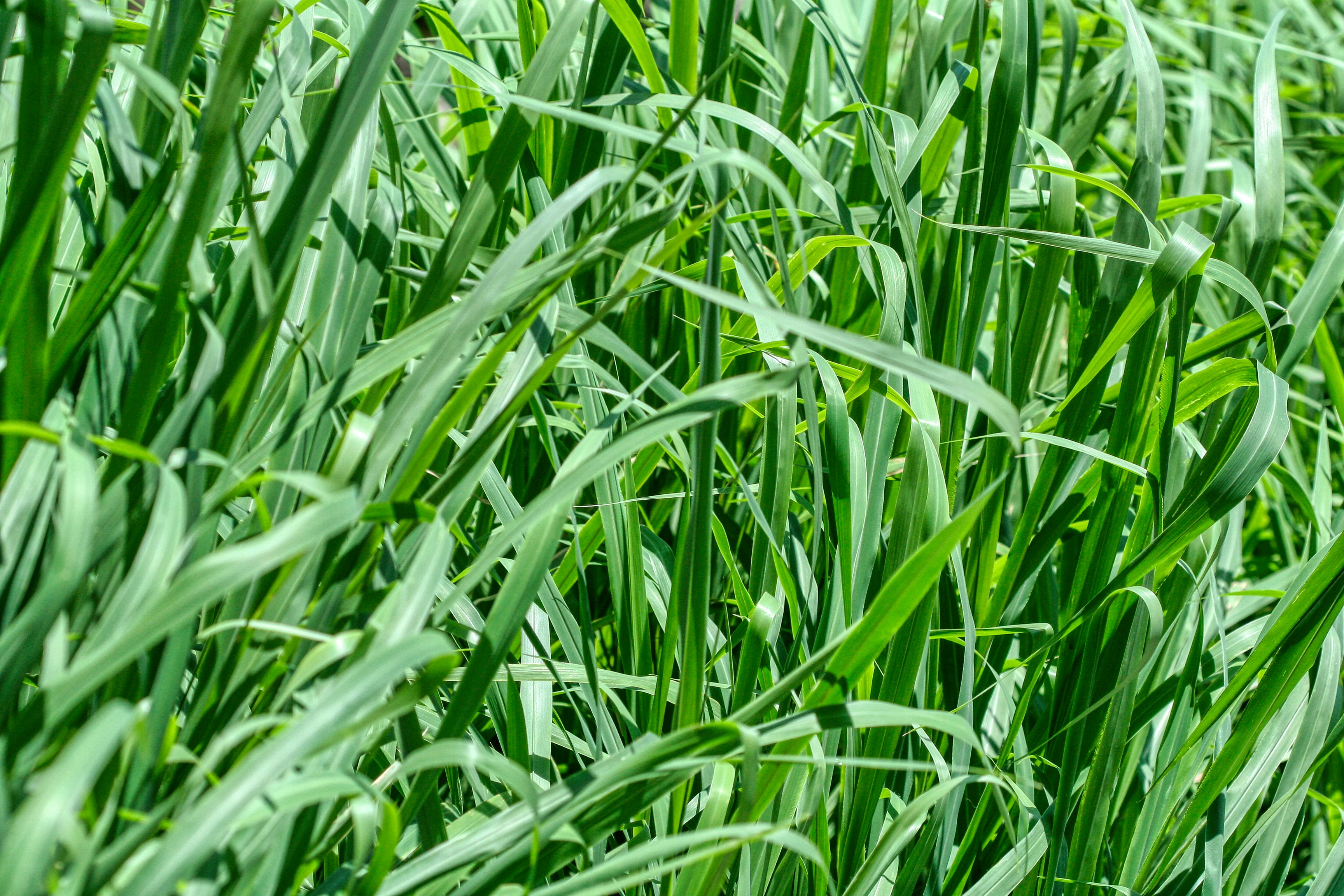 Photo by thomaskinto