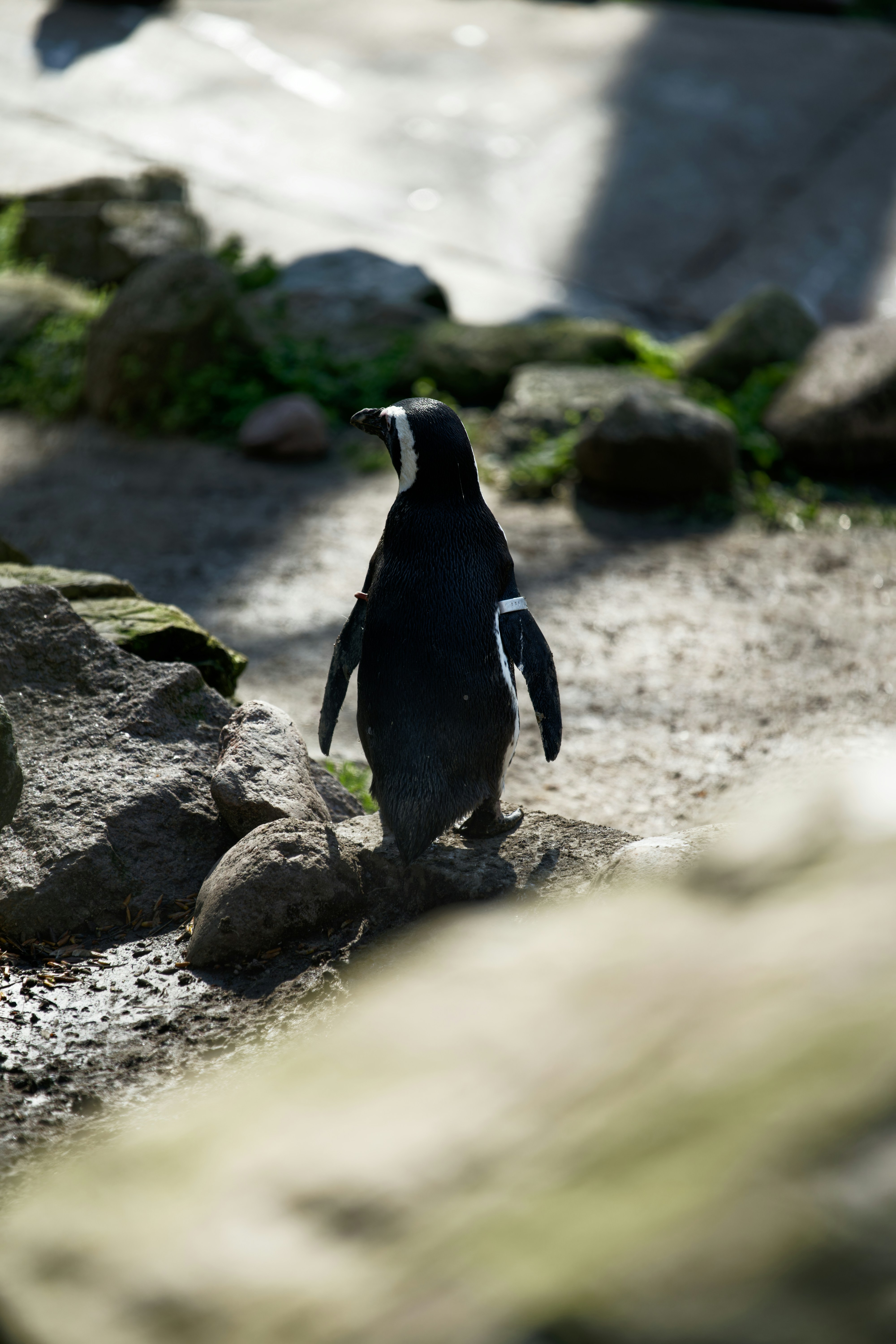 Photo by shyamalliam