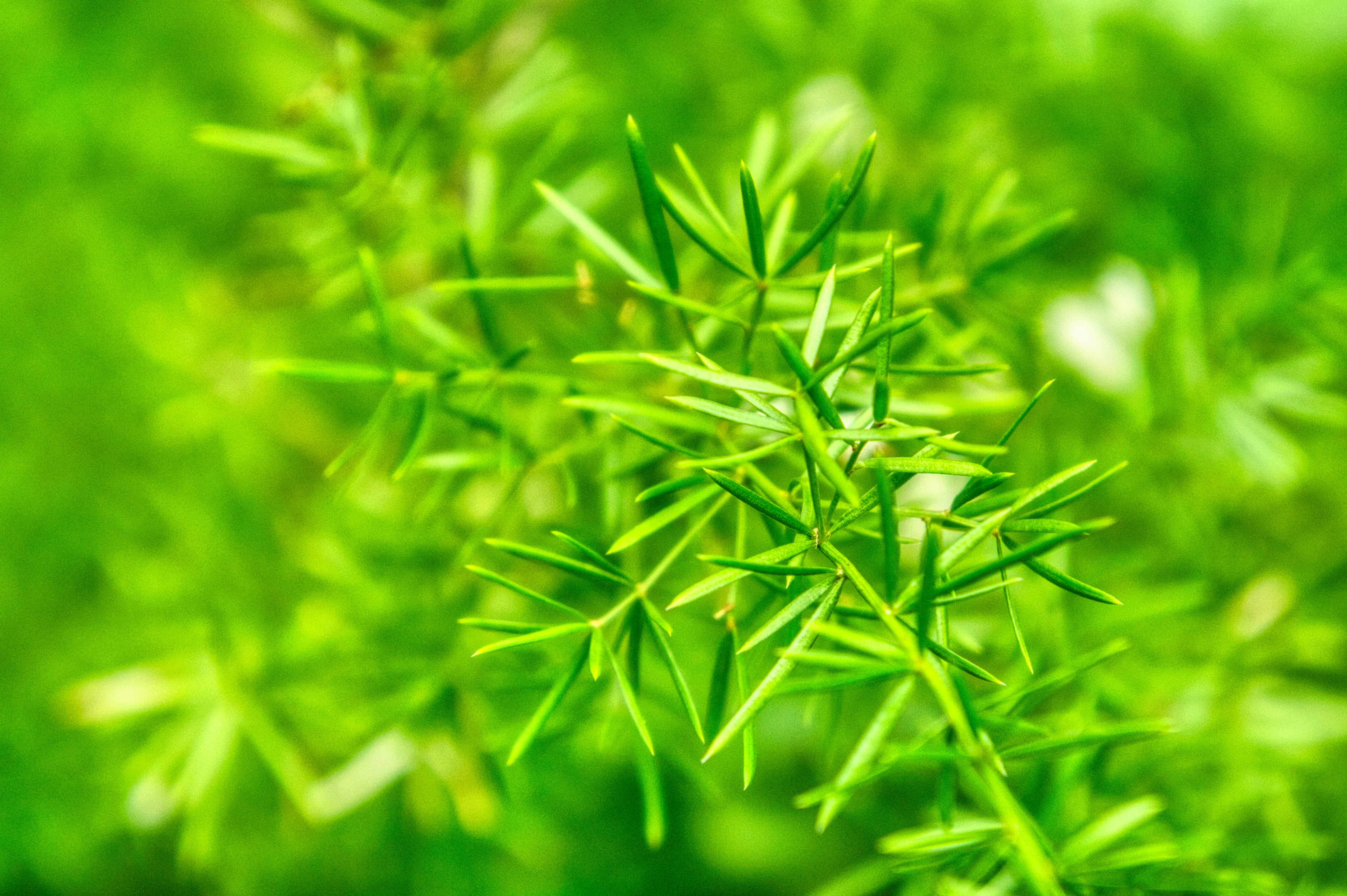 Photo by thomaskinto