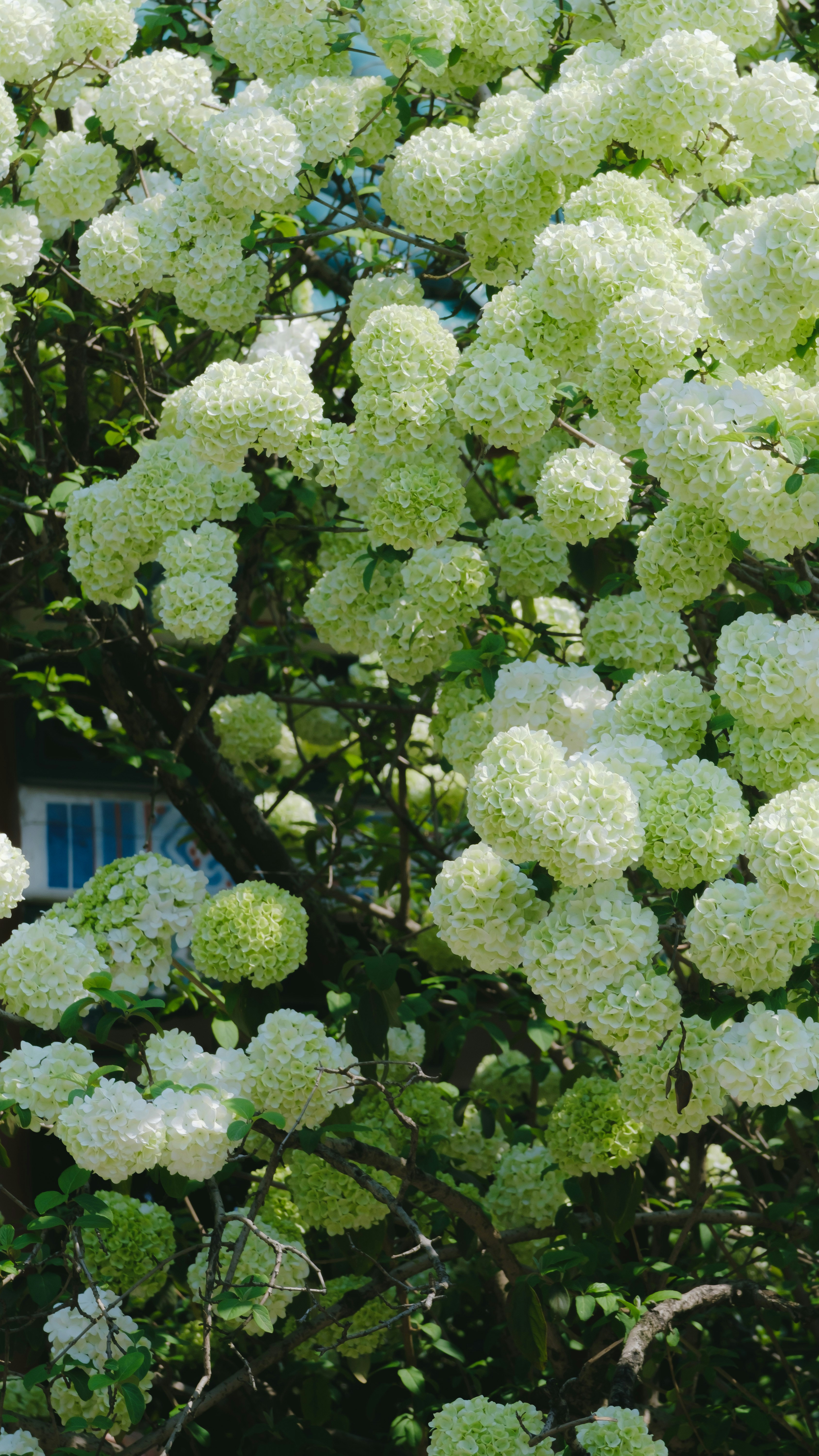 Photo by xiexianghua