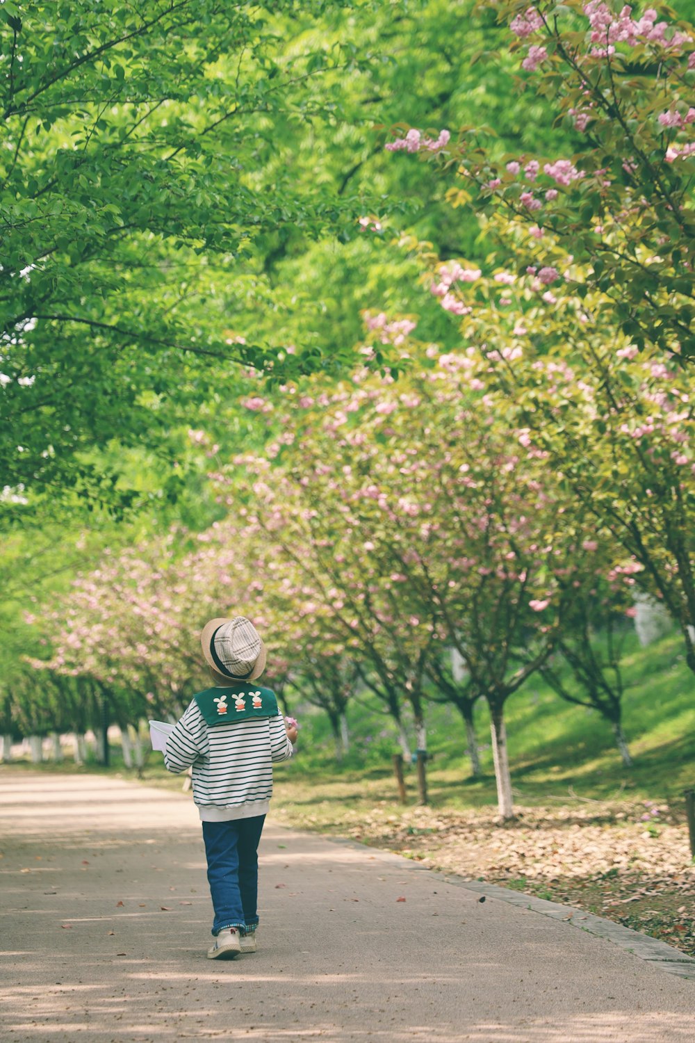 a young boy walking down a tree lined sidewalk