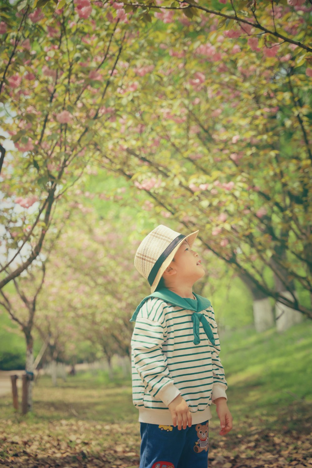 a little boy that is standing in the grass