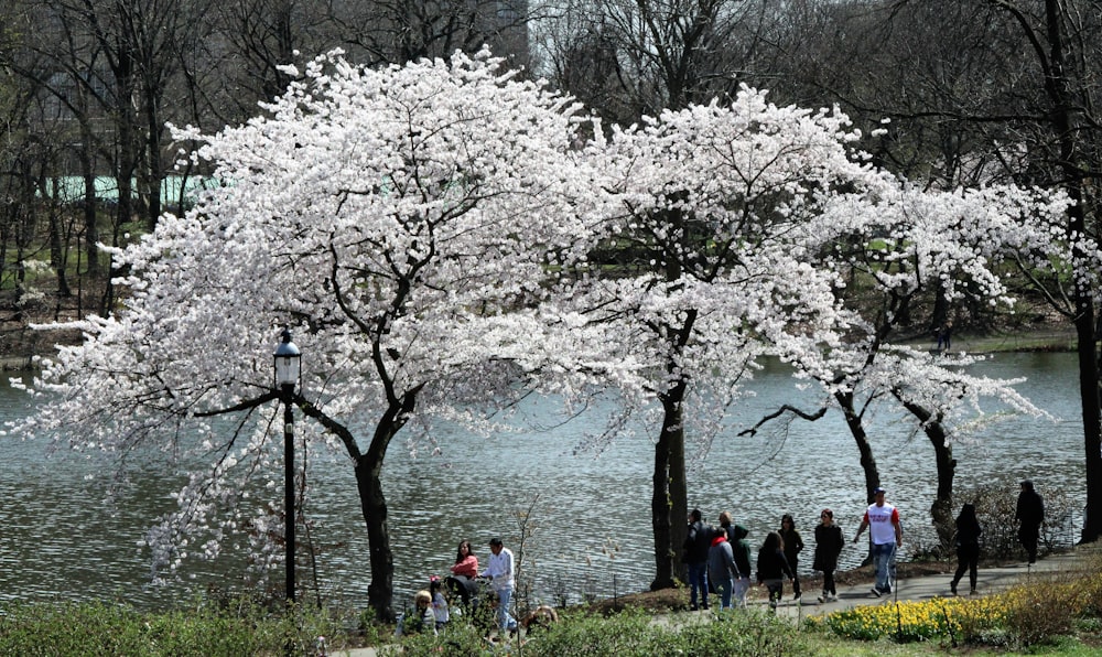 a group of people walking around a park next to a lake