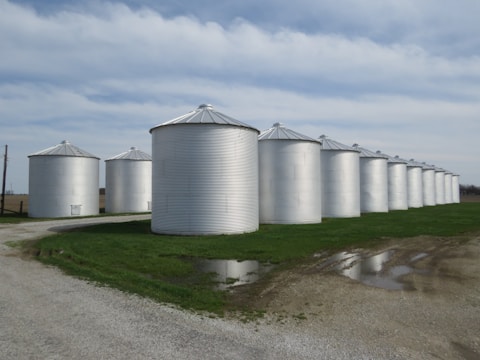 A row of metallic grain silos is positioned on a grassy landscape with a gravel path. The silos are cylindrical with conical roofs, reflecting the light in a rural setting under a cloudy sky.