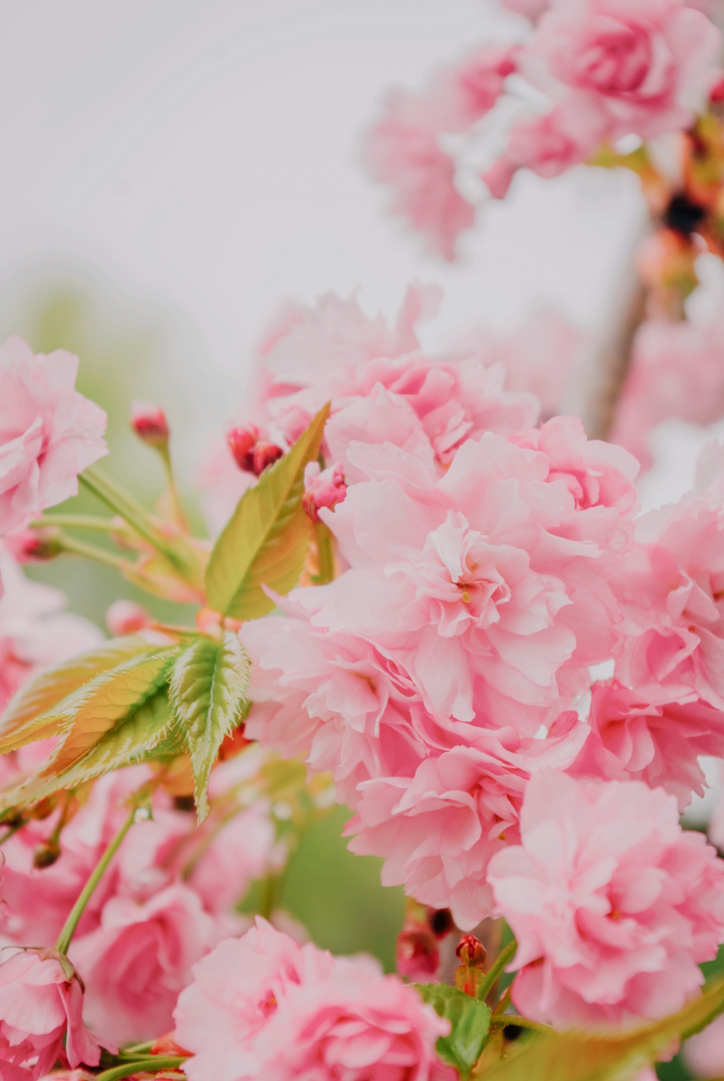 Photo by moonmoons_days