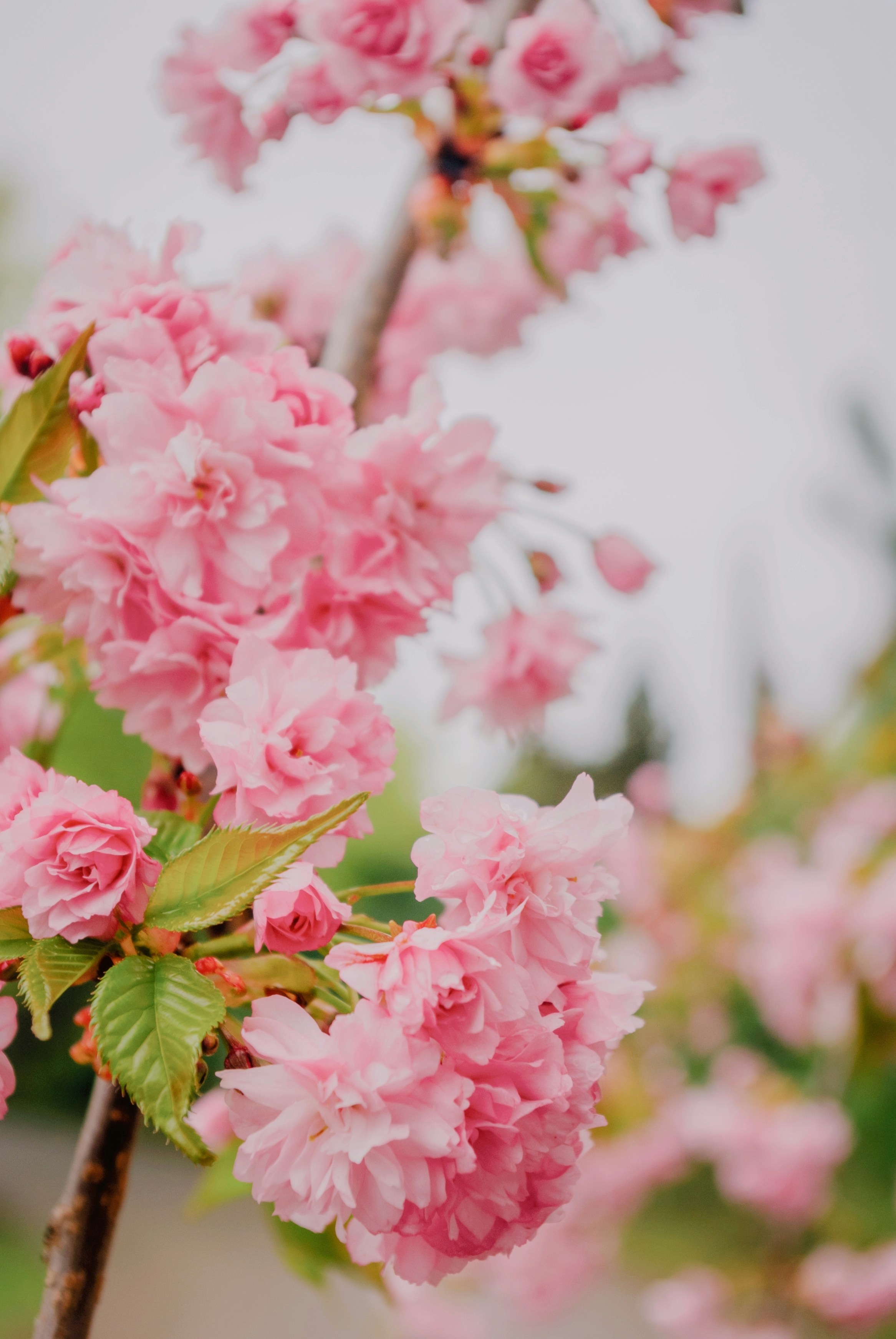 Photo by moonmoons_days