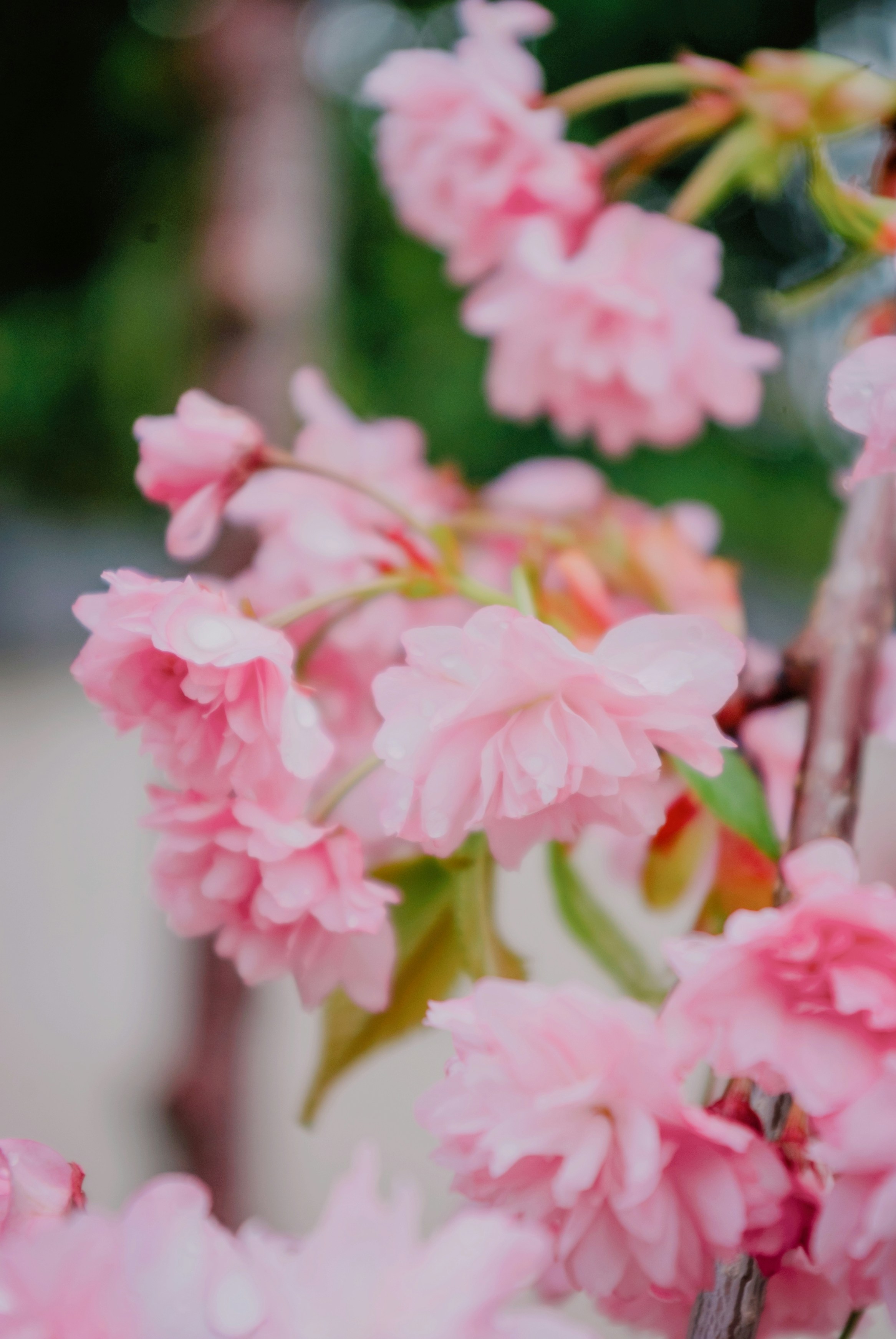 Photo by moonmoons_days